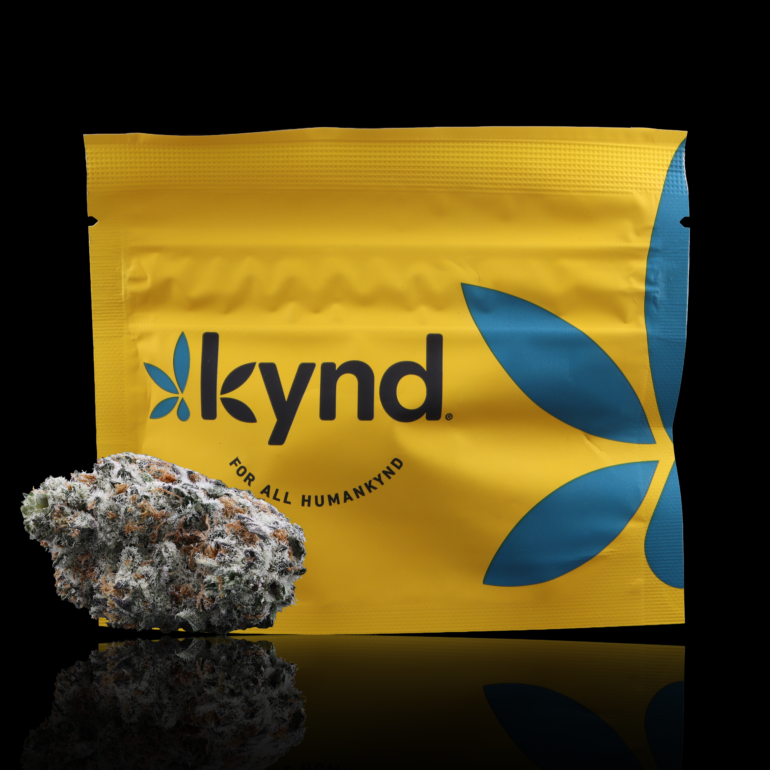 Dolato Strain Information - Kynd - AYR Dispensary