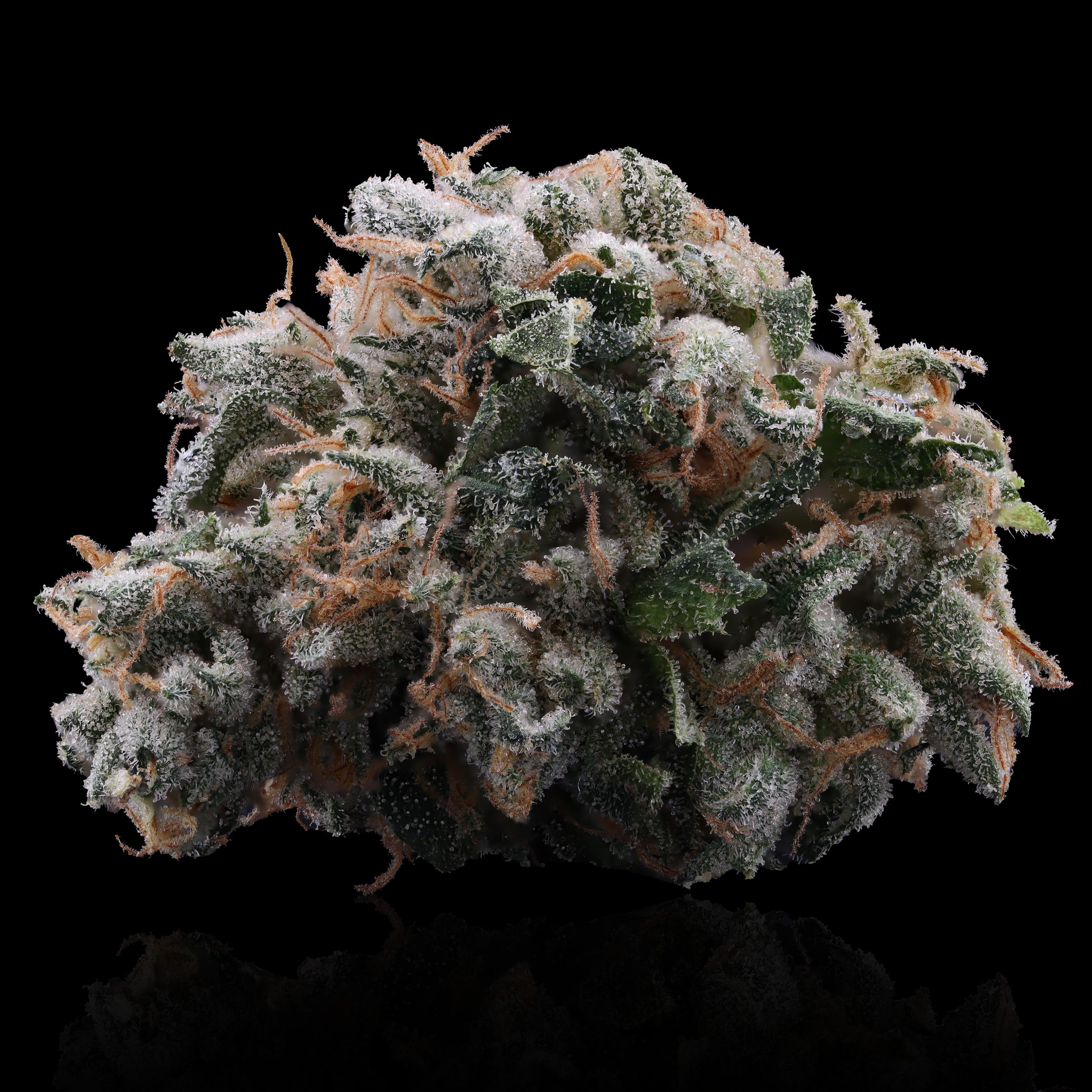 Duct Tape Strain Information - Brookside Reserve - A21 Wellness Dispensary