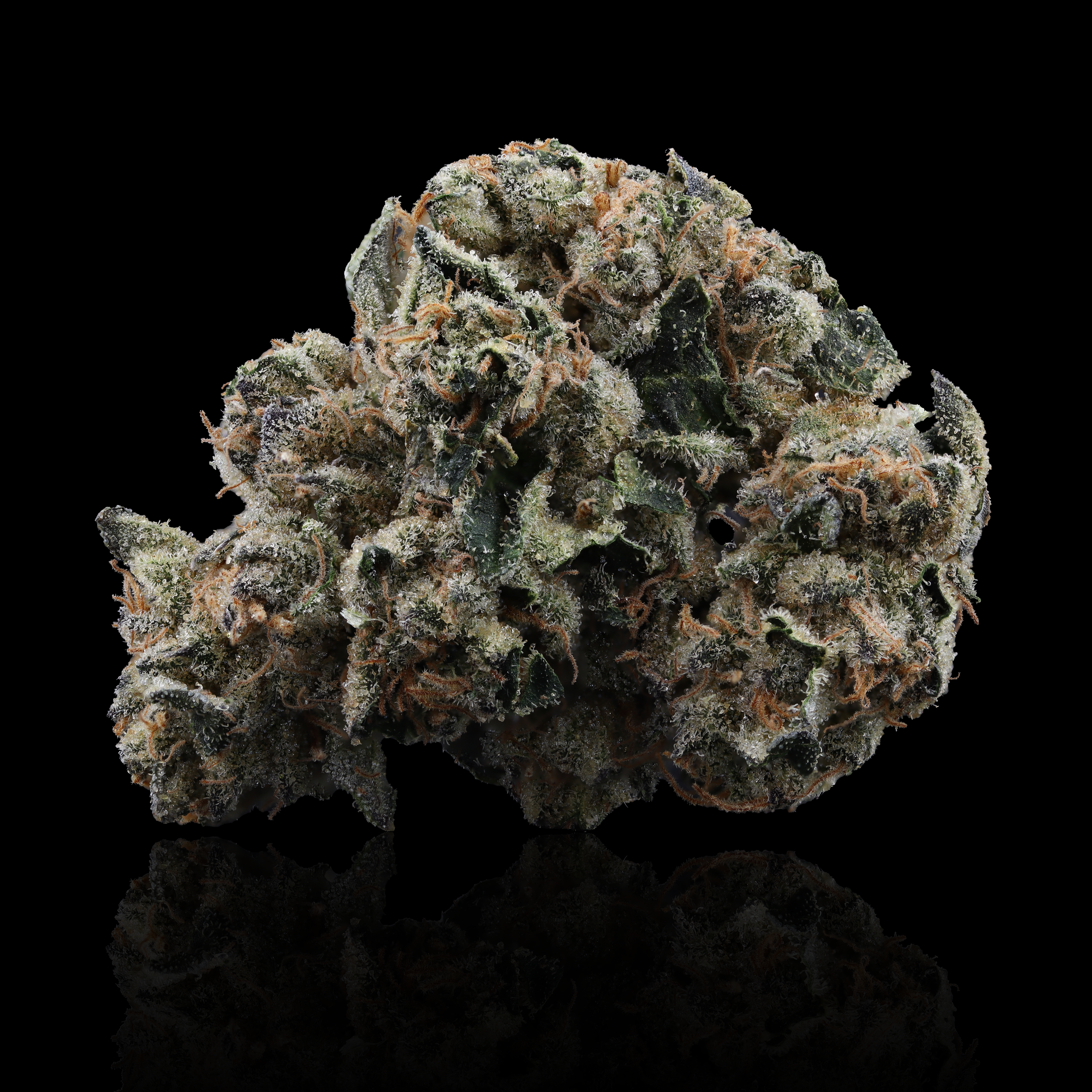 Sans Souci Strain Information - Genuine Grow - Blue Oak Dispensary