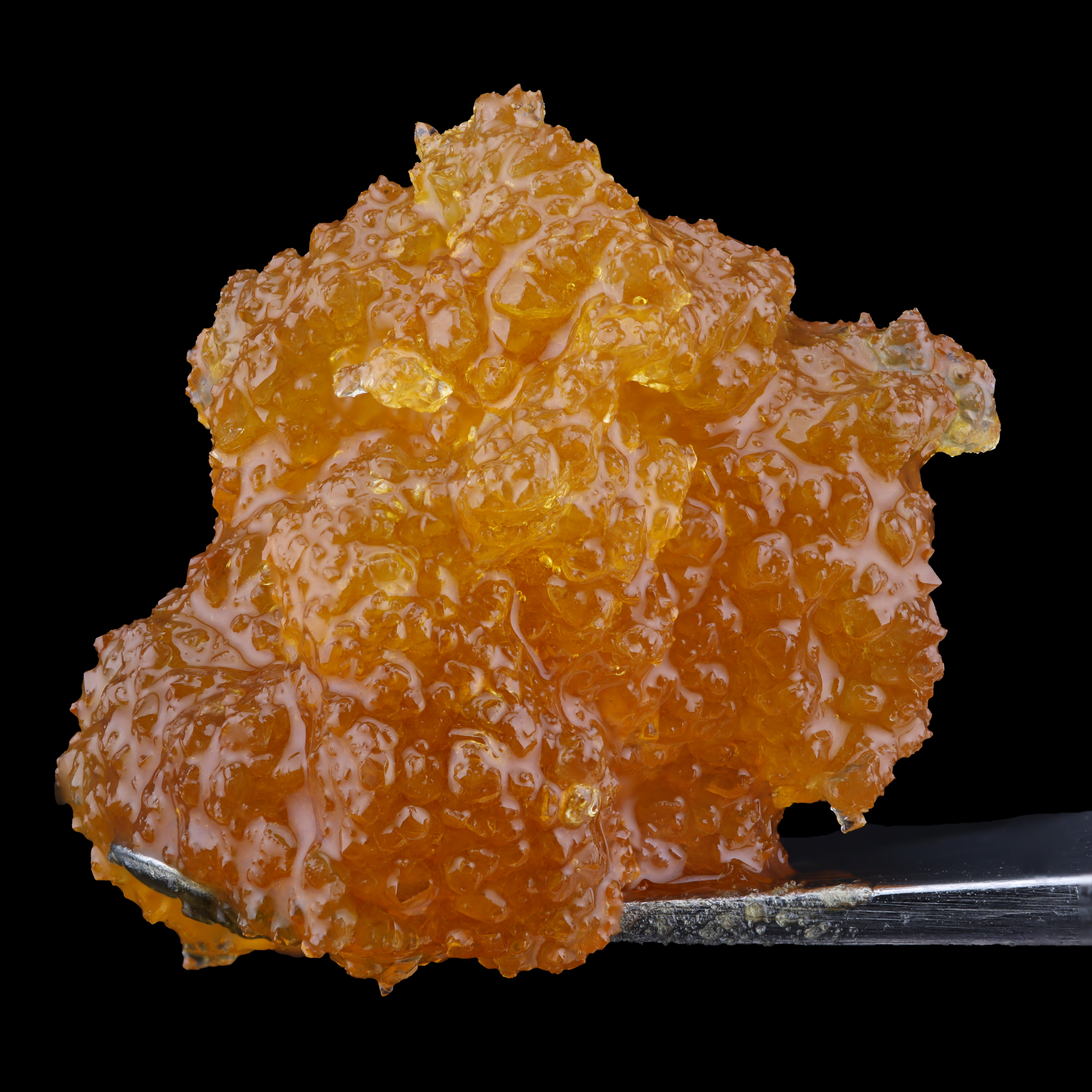 Sundae Sherbert Strain Information - Haze x The Mudd Brothers - AYR Dispensary