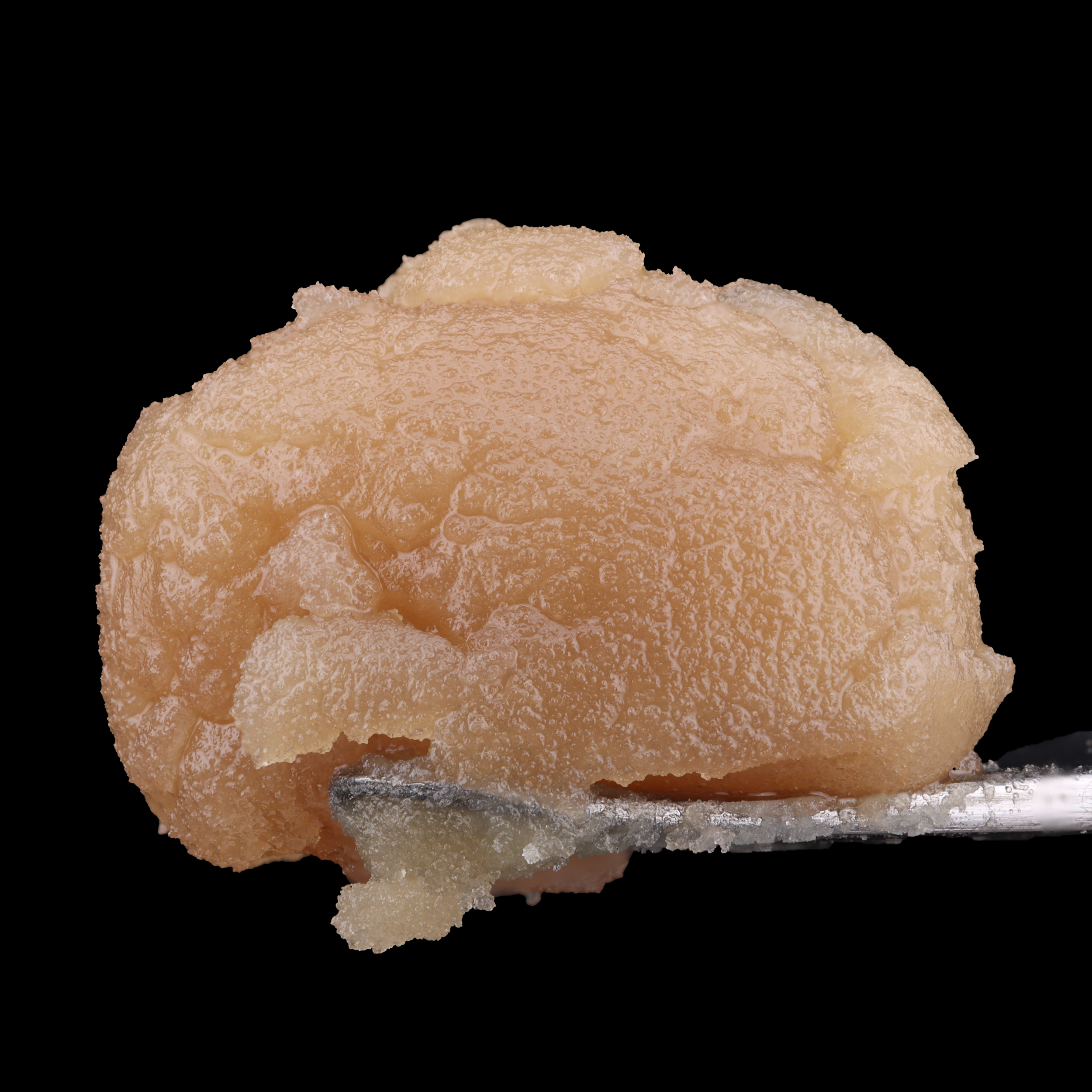 Super-Boof-Live-Rosin-strain-by-EV-Cultivators-and-HarvestWorks-dab-1