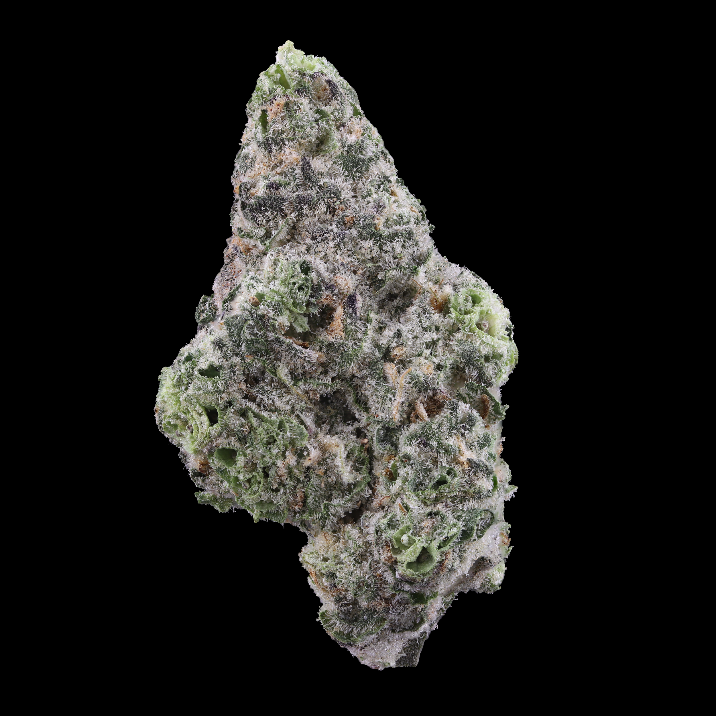 Gush-mints-strain-by-curio-wellness