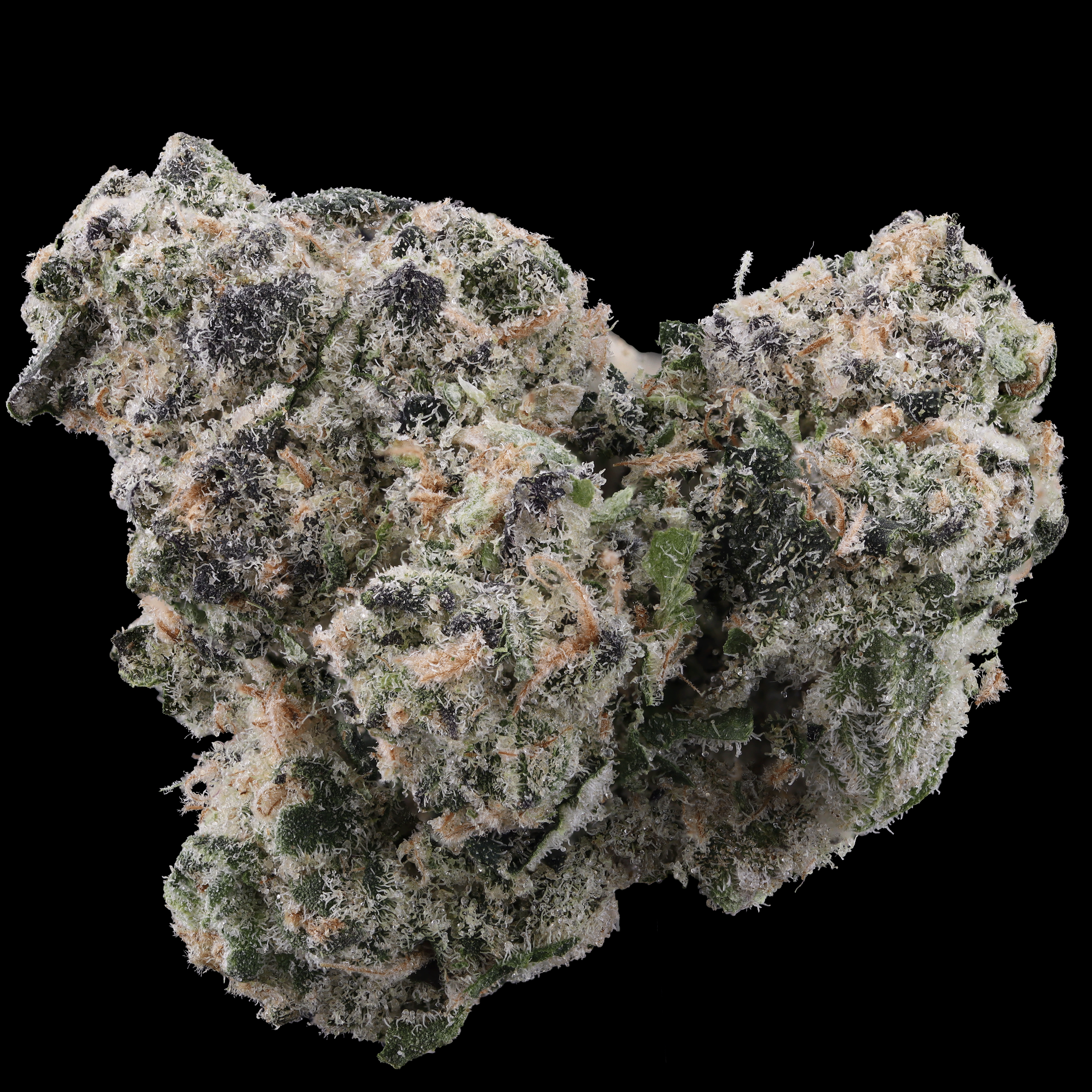 LA Kush Cake by Jungle Boys