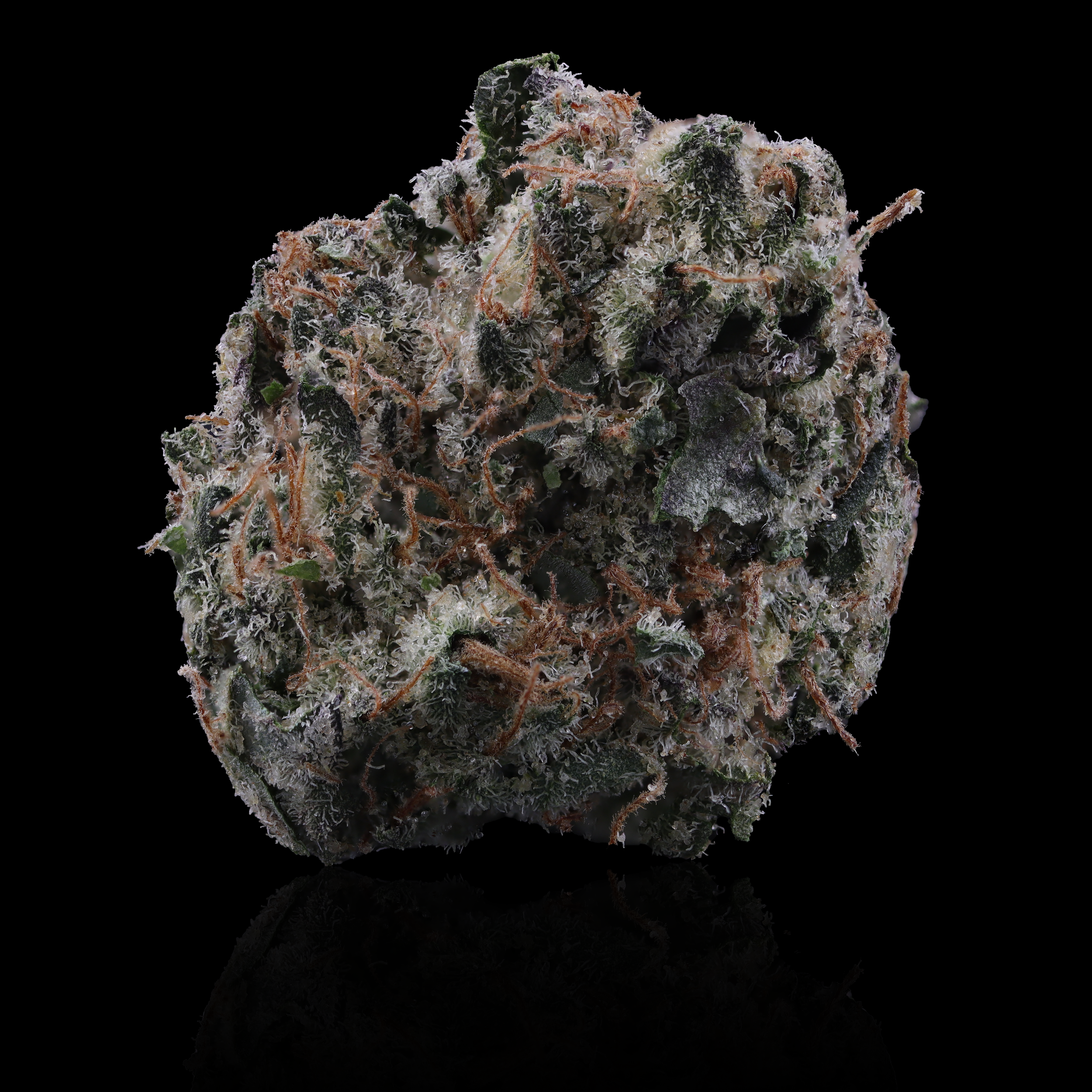 Zeroz strain information cultivated by district cannabis