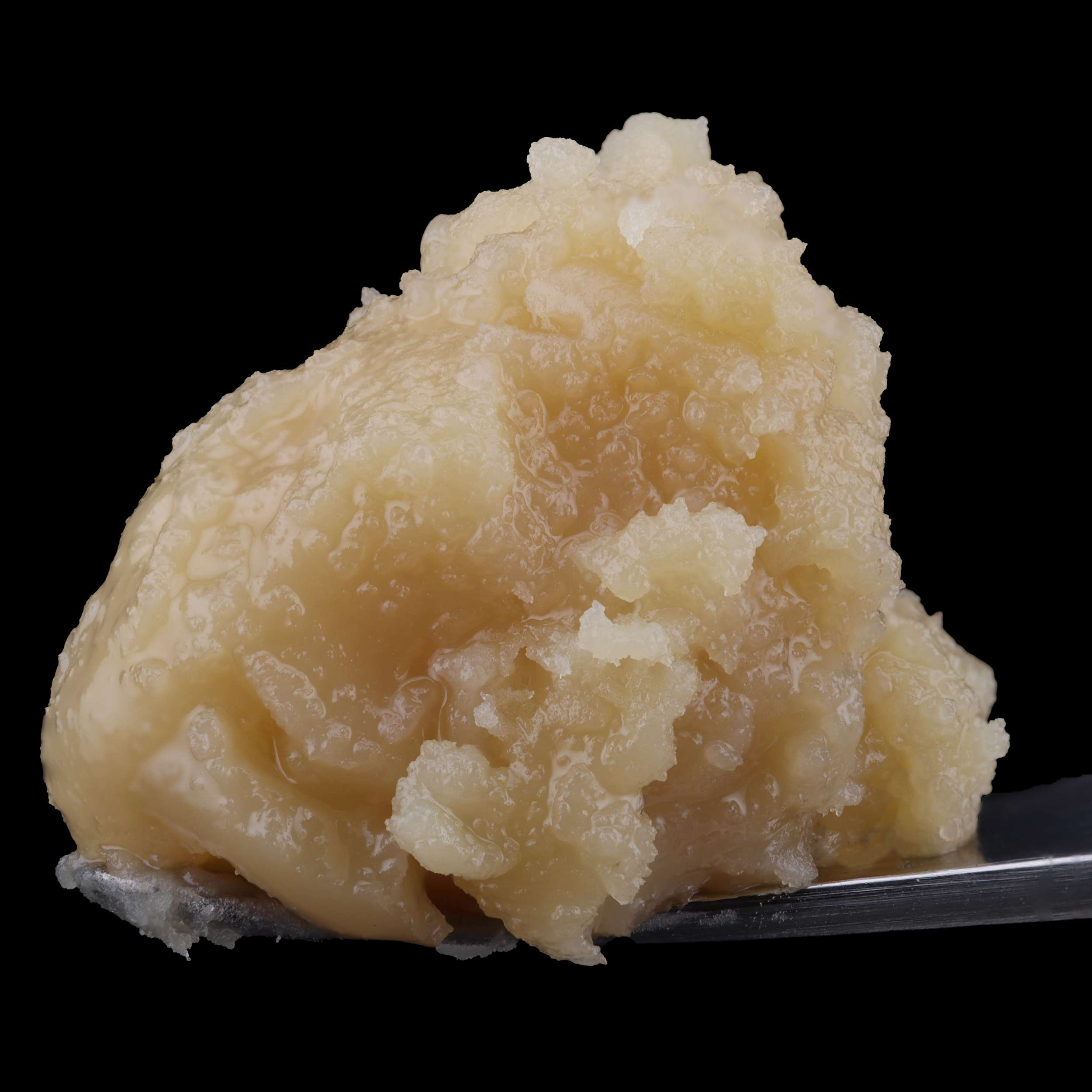 Sundae-sherbert-live-rosin-by-the-mudd-brothers-x-haze-dab