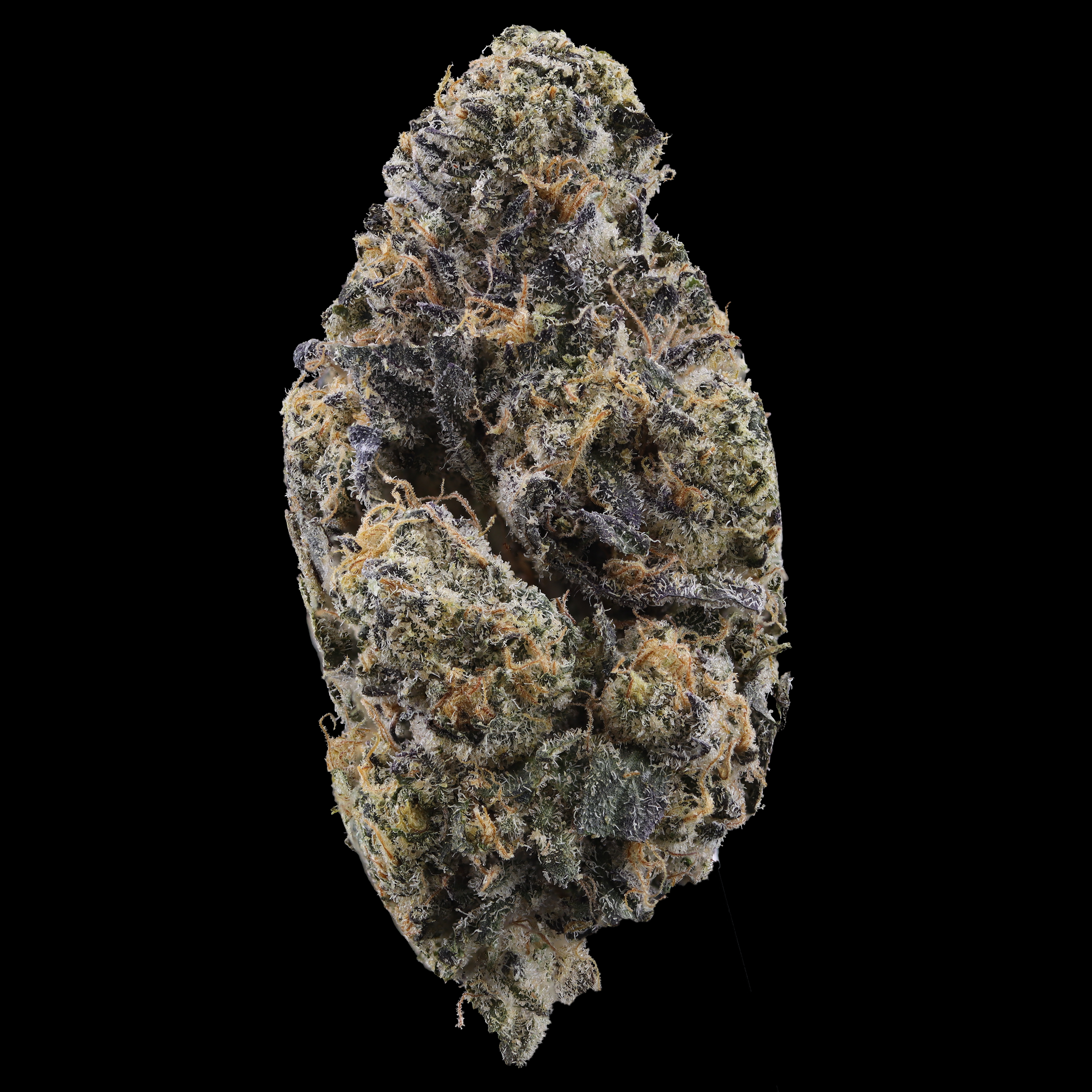 emergen-c-flower-by-just-flower