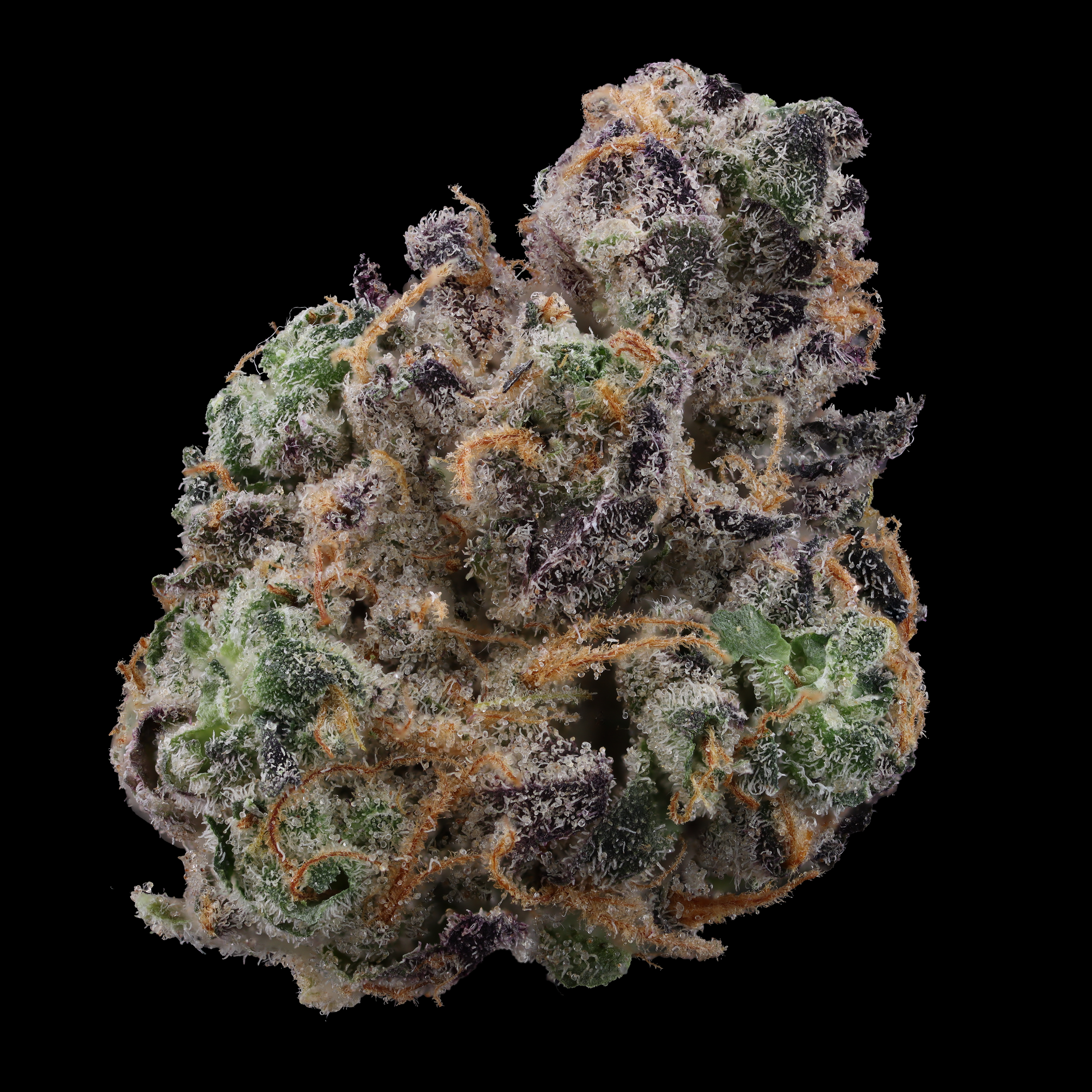 Wedding-cake-strain-by-goodies