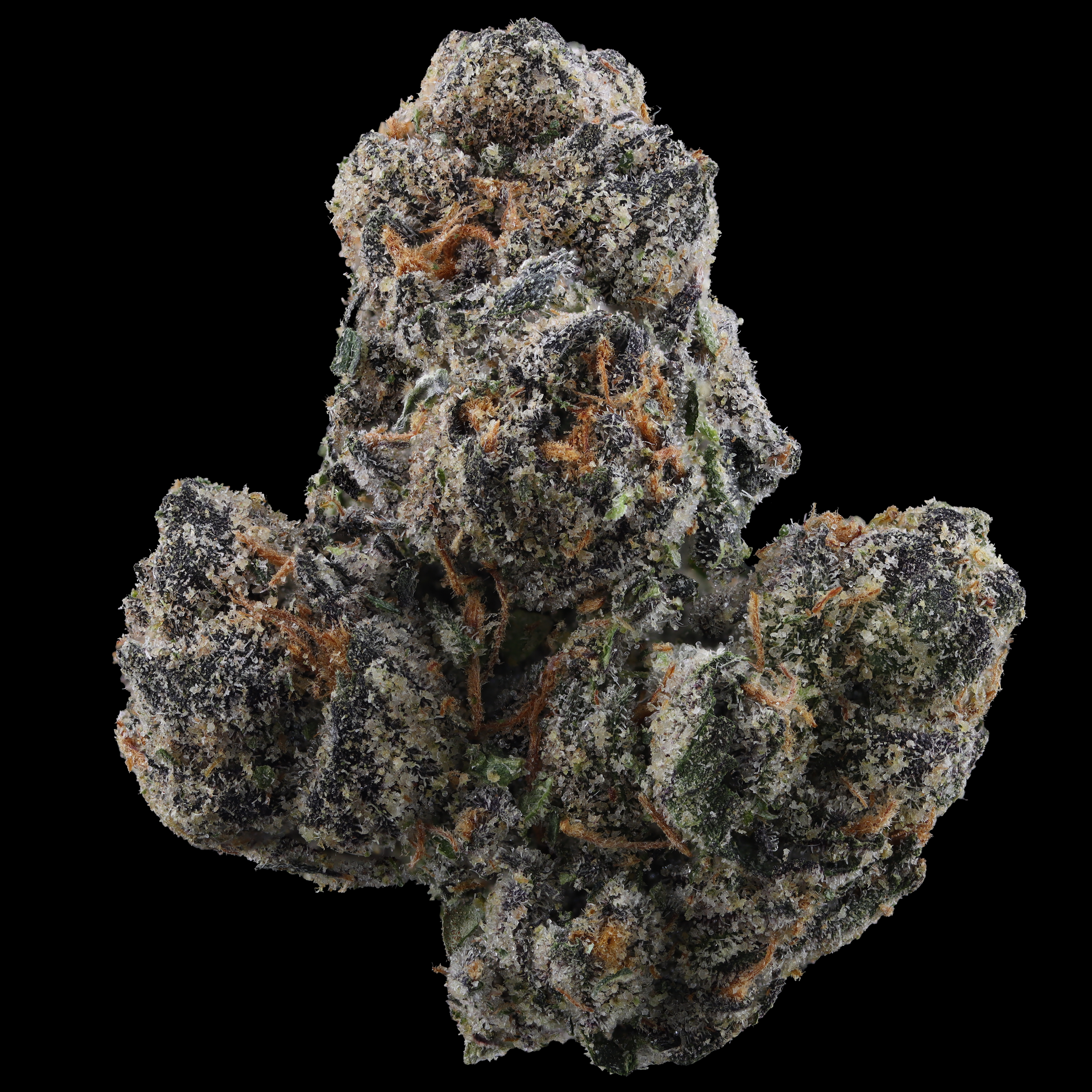 Apples and bananas strain by Curio Wellness