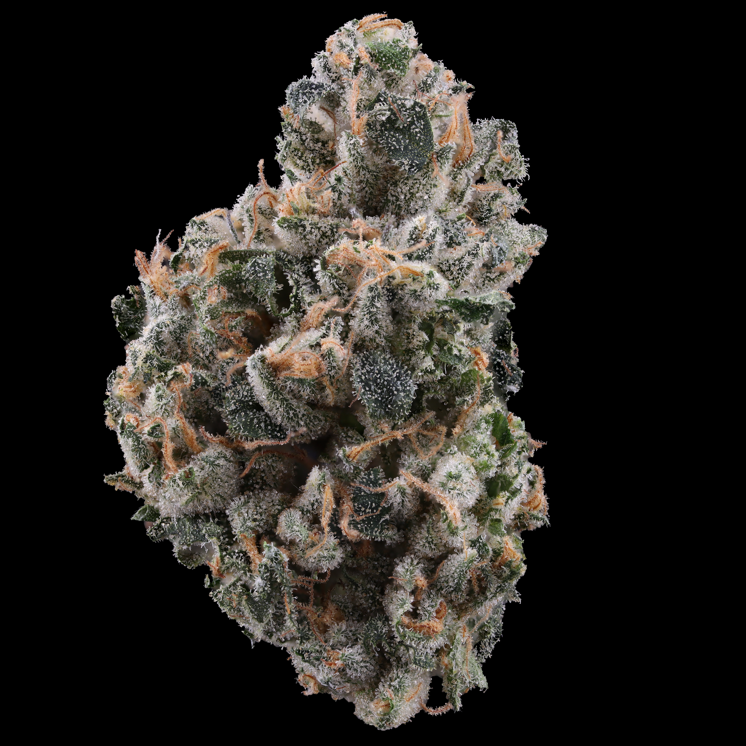 Duct-Tape-strain-by-Brookside-Reserve