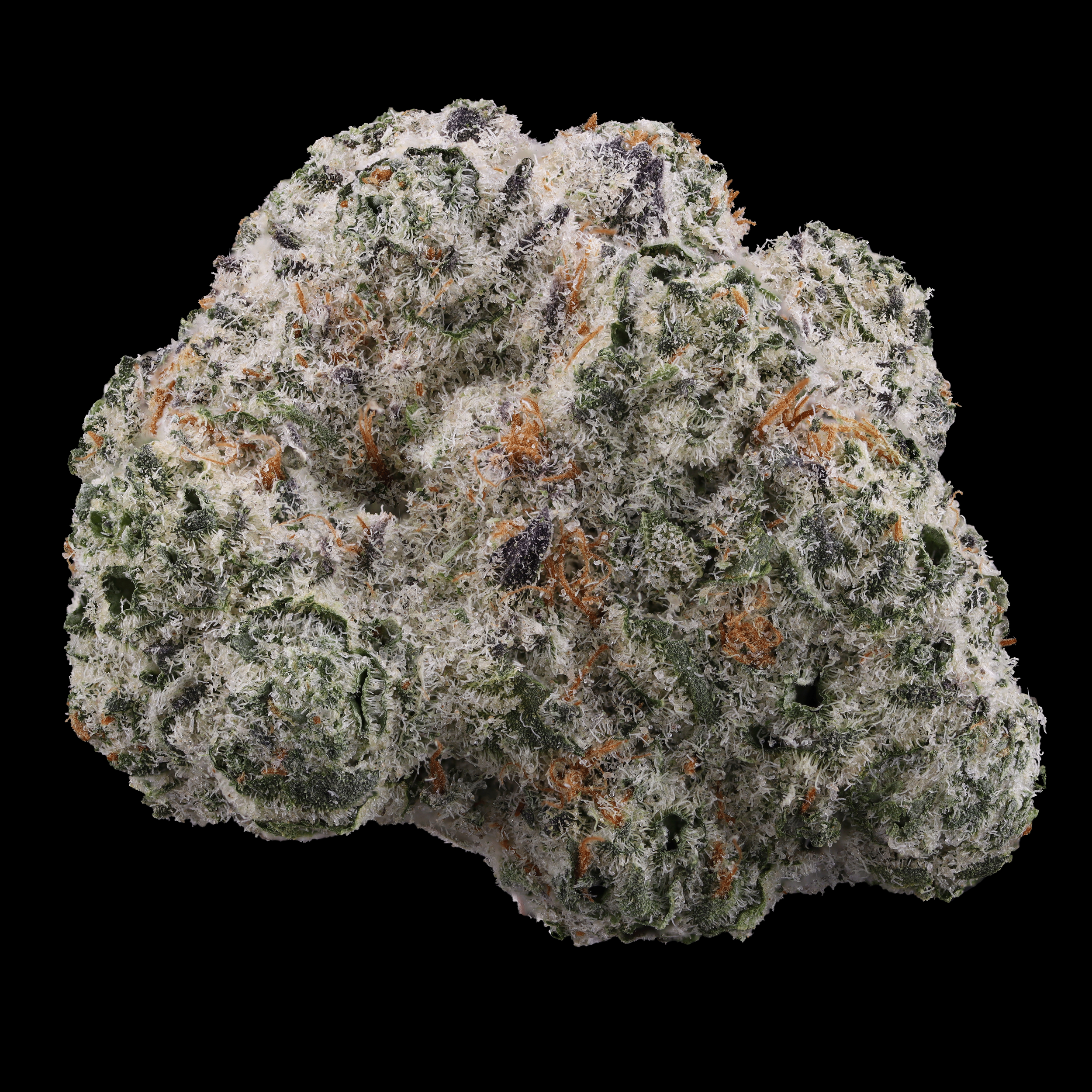 Bravado-strain-by-Redemption