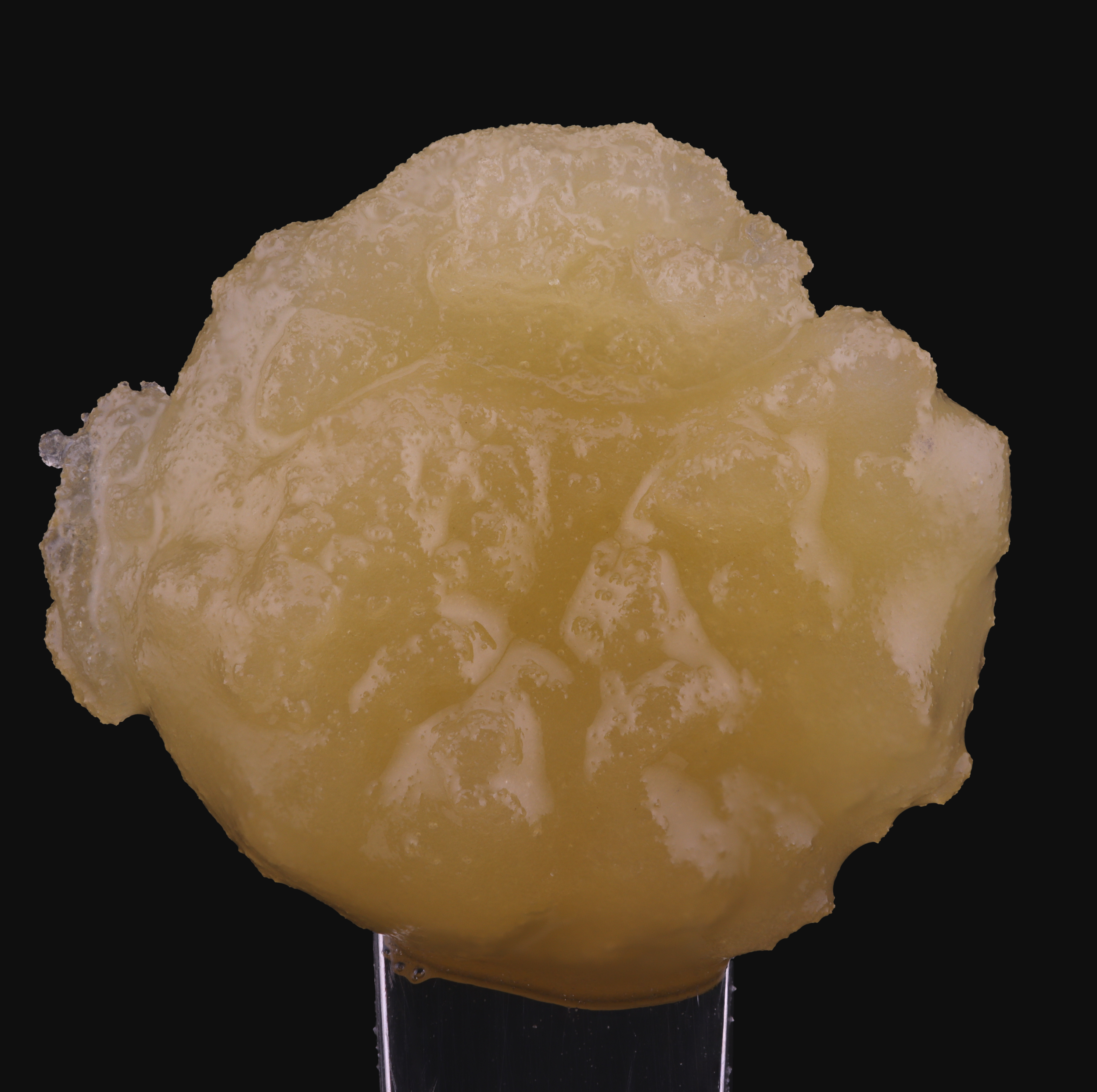 Cherry Limeade Cake strain live resin by District Cannabis