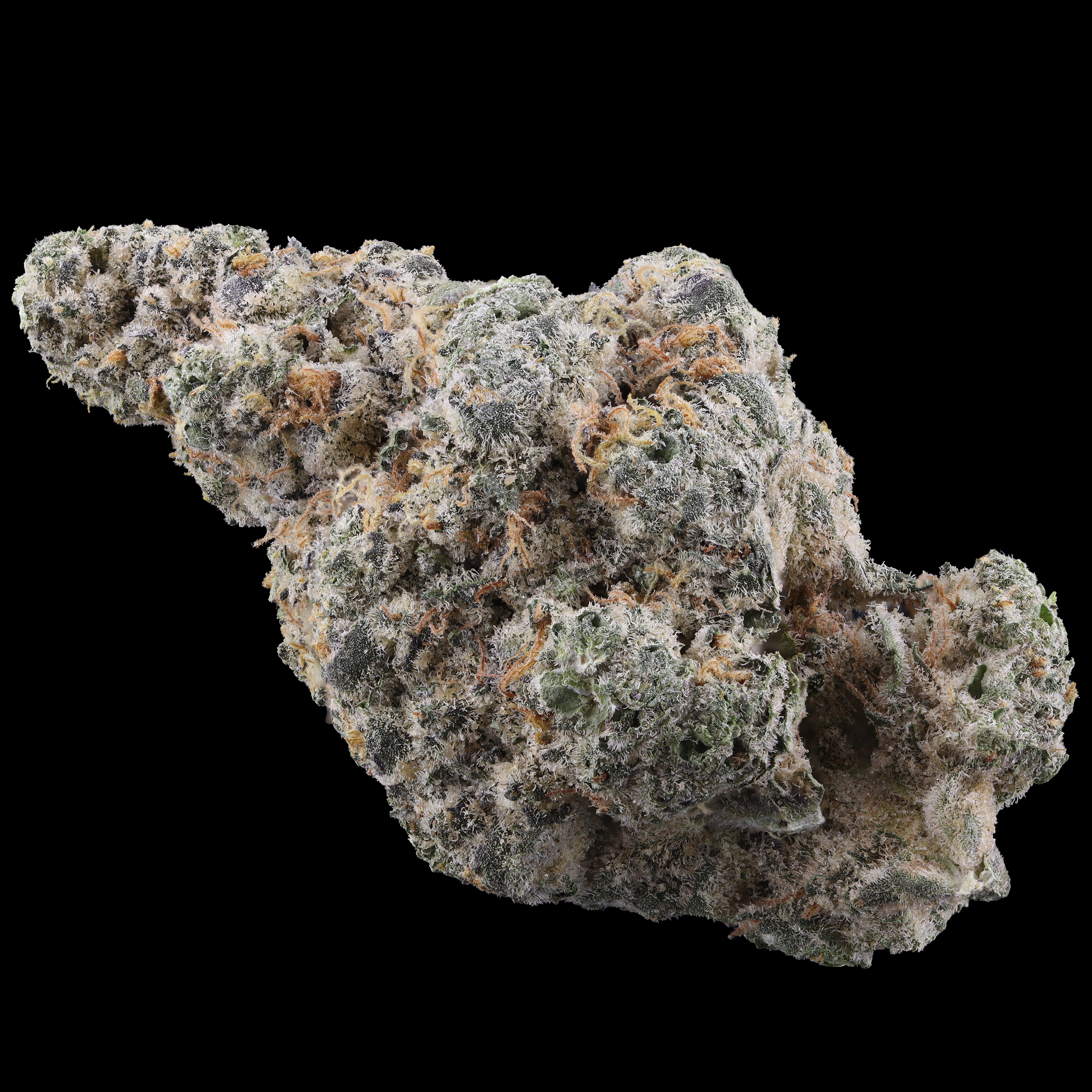 Cake Mints strain photograph