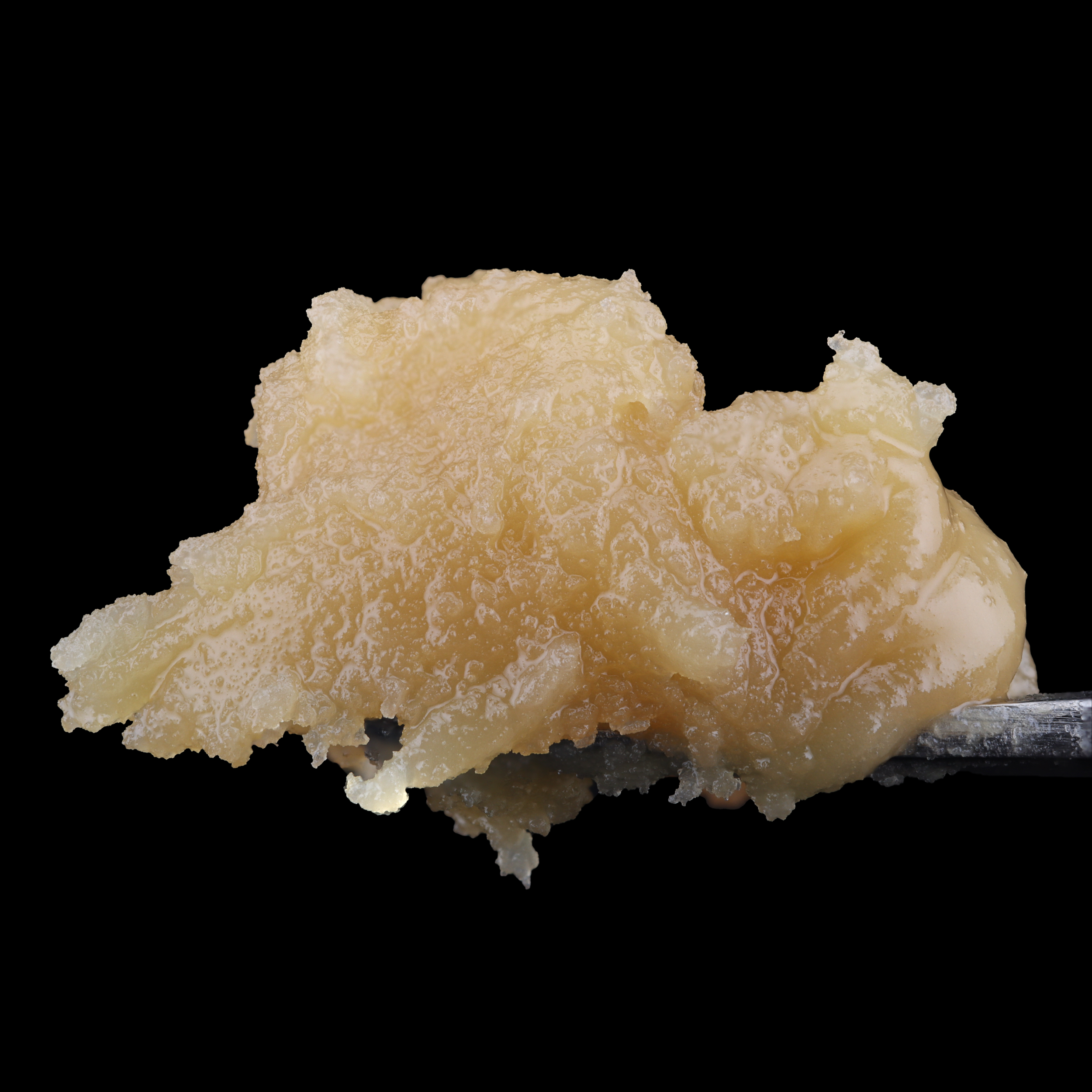 Jelly-Roller-live-rosin-strain-by-Olio-dab-1