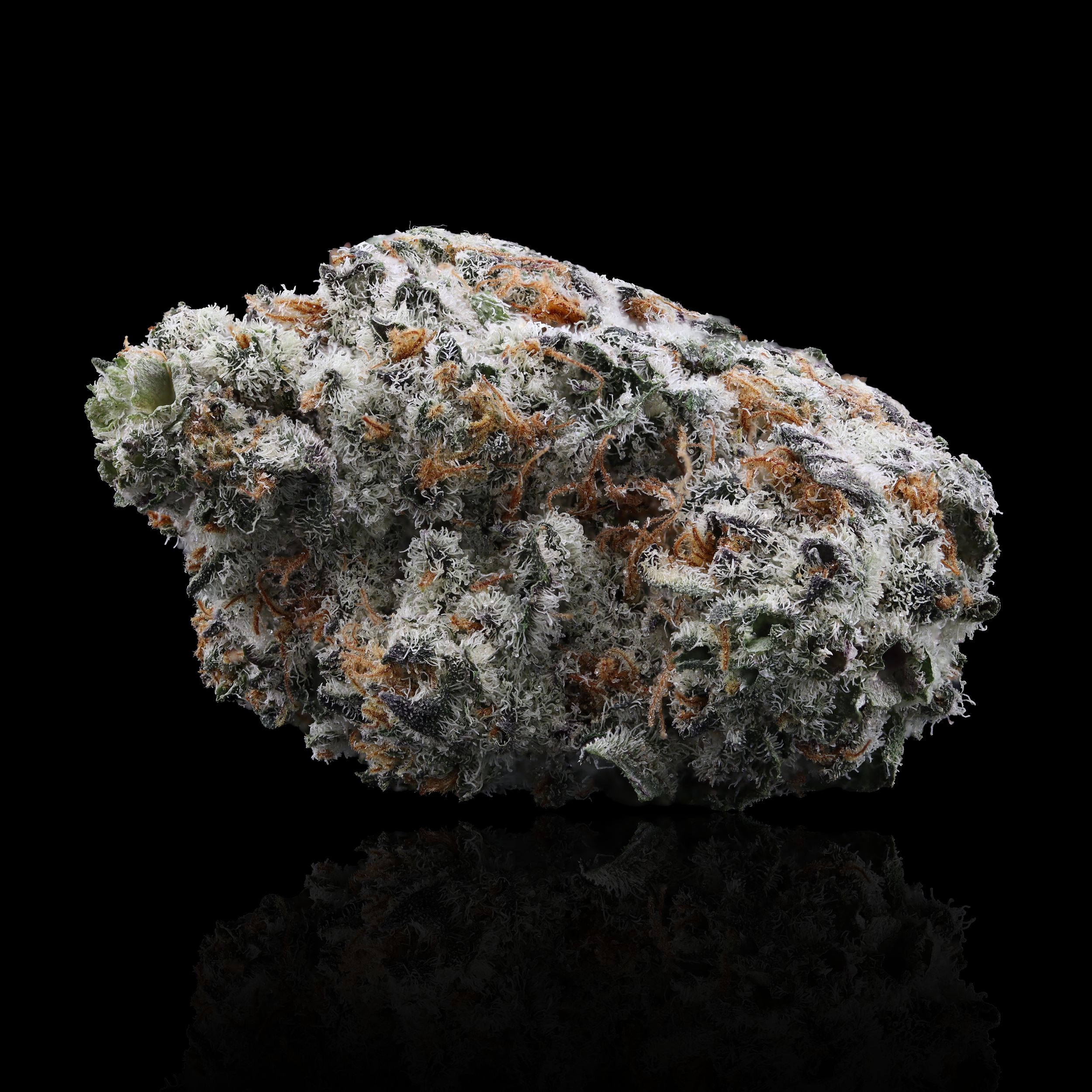 Dolato-strain-by-kynd-reflection