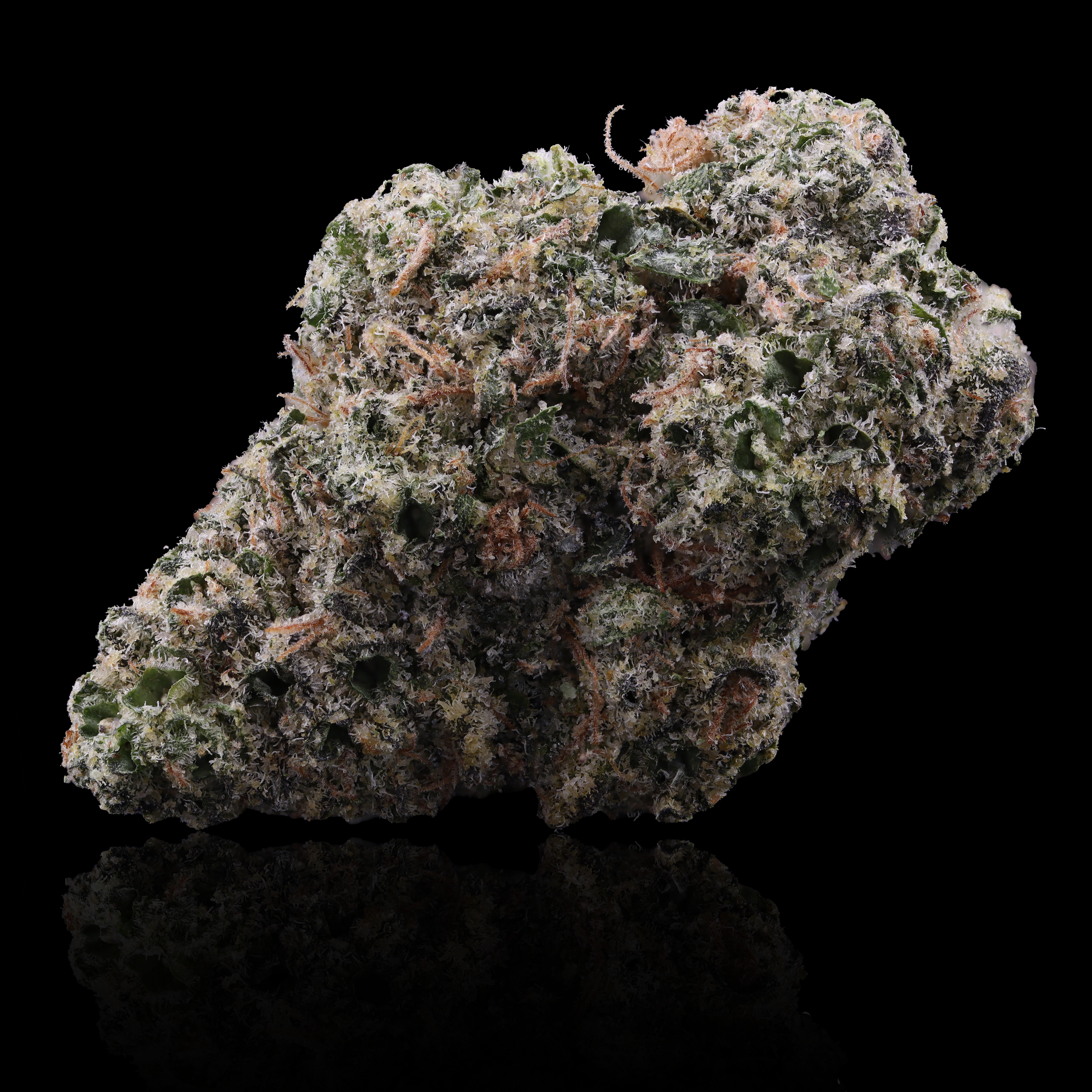 Black-Maple-strain-by-Grow-West-reflection