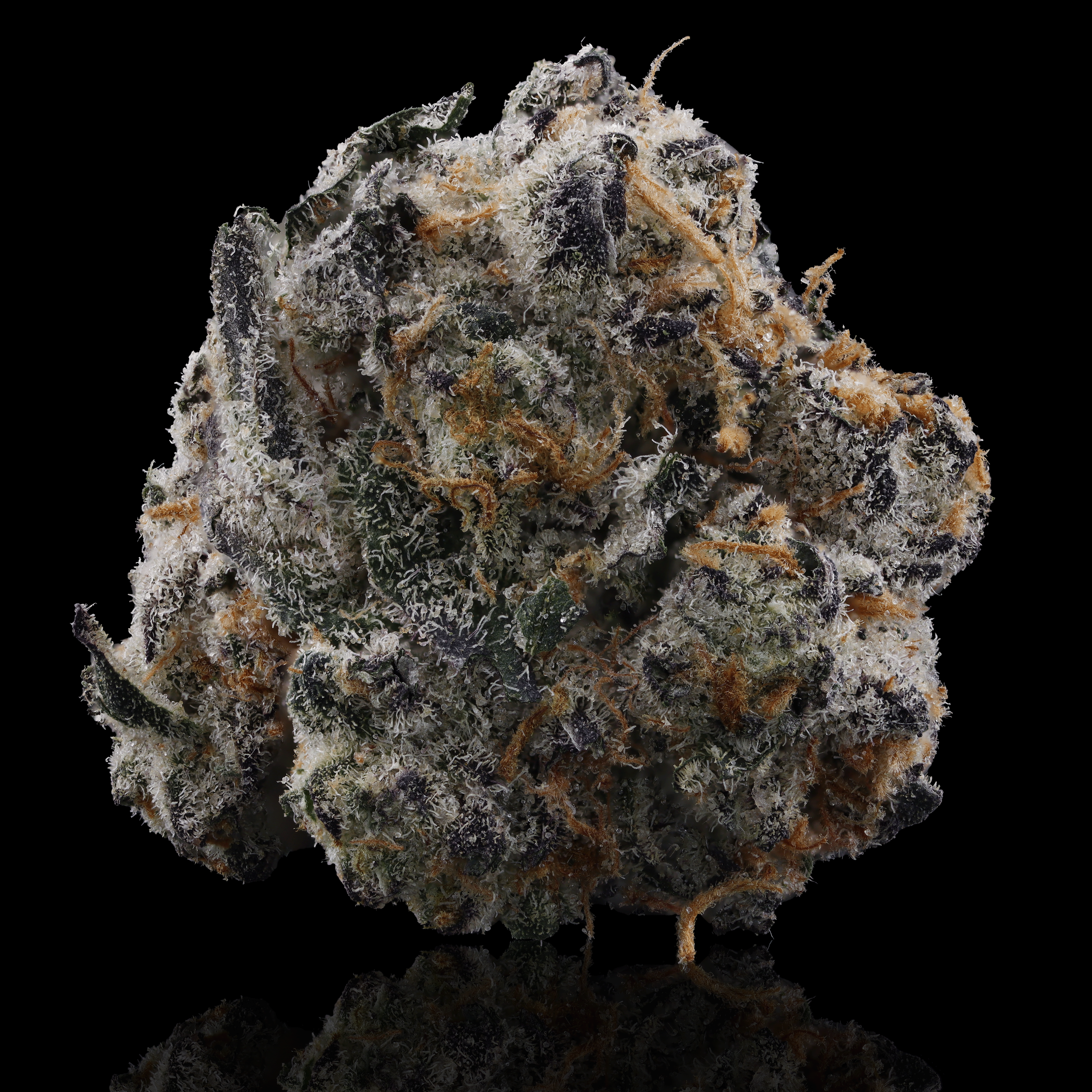 Garlic-Breath-strain-by-Grown-Rogue-reflection