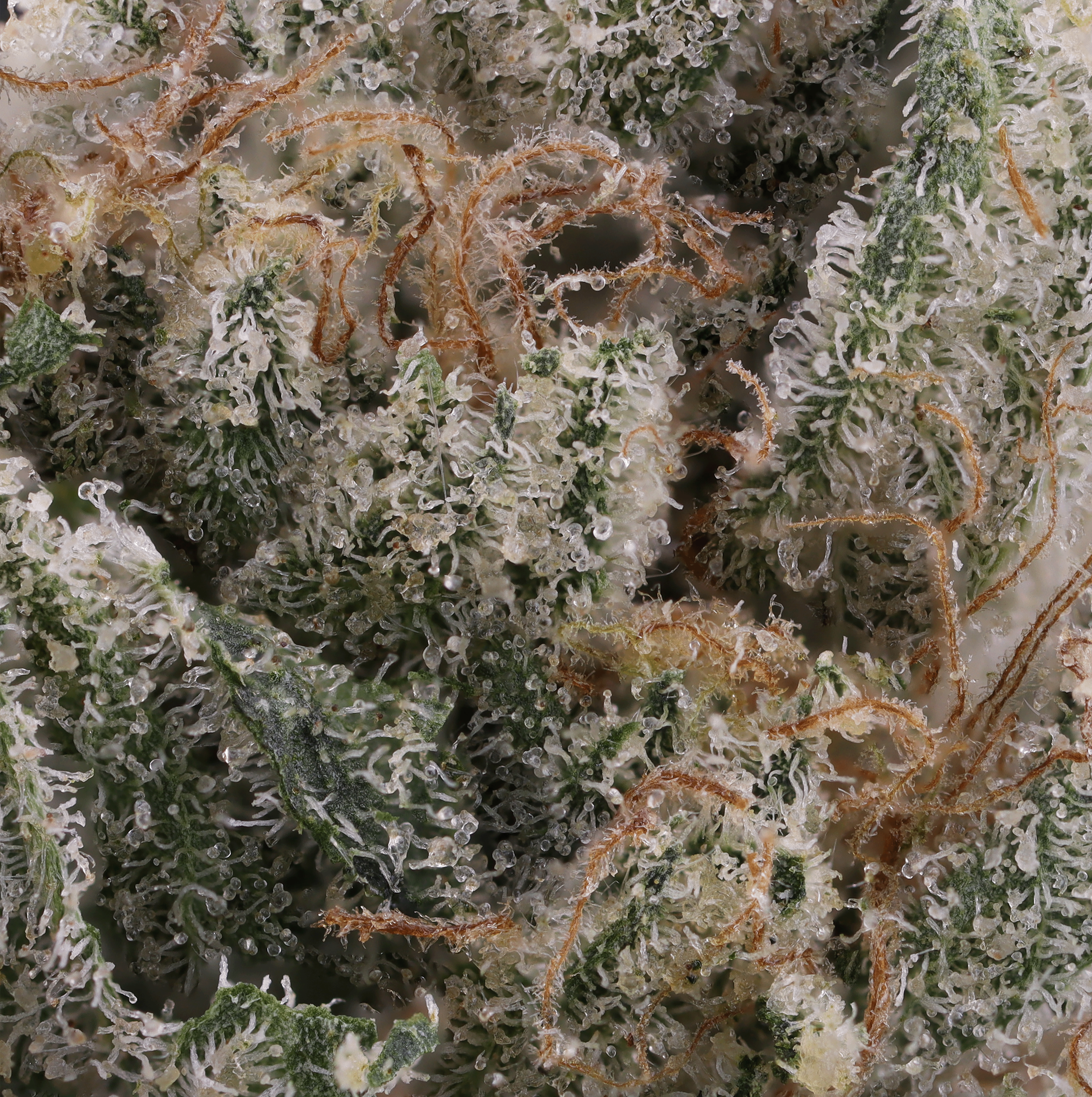 Moonbow-112-strain-by-710-labs-micro