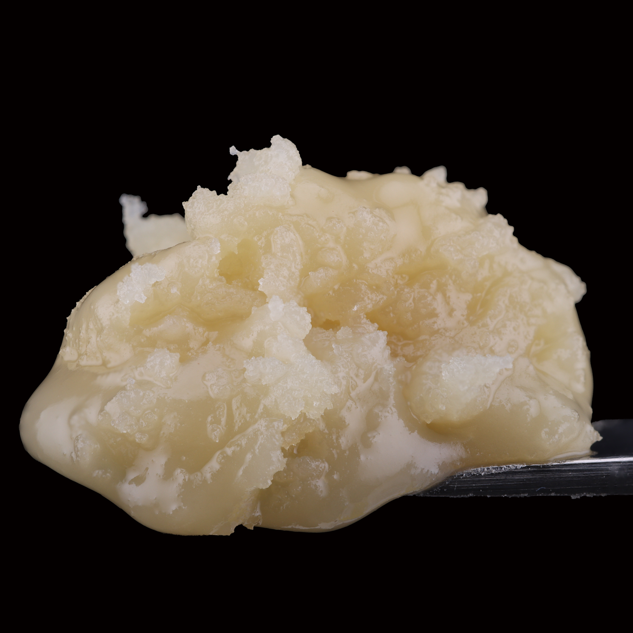 Tropicana-cookies-live-rosin-by-pure-canna-co-on-dab-tool