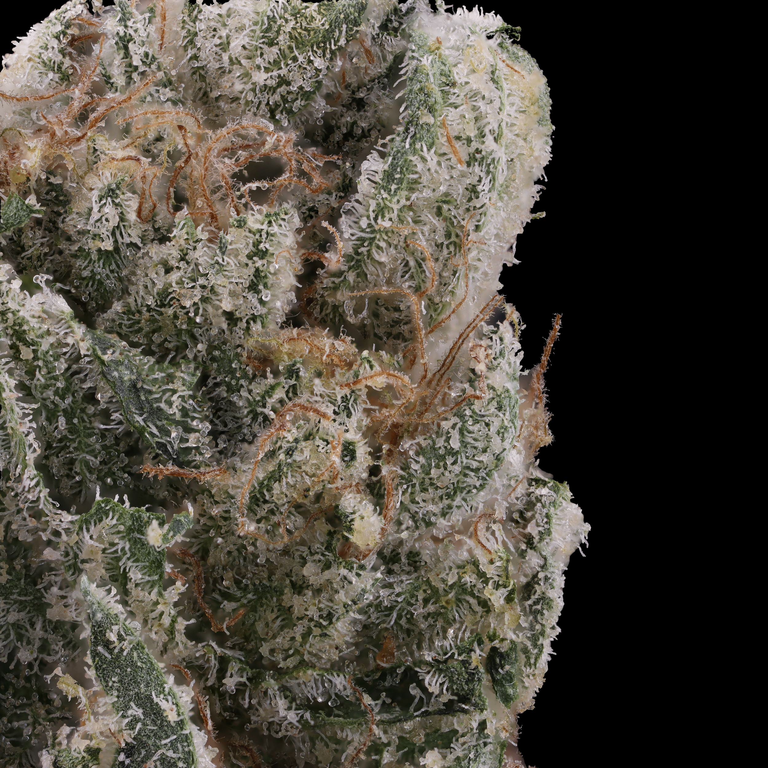 Moonbow-112-strain-by-710-labs-macro