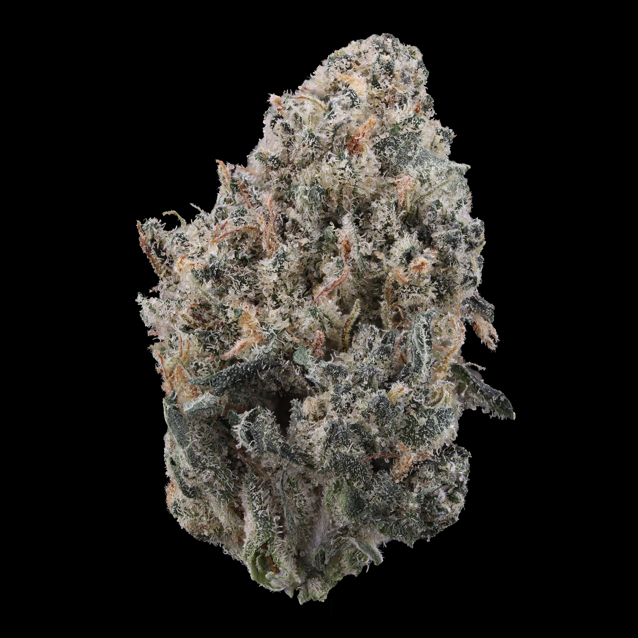 cookies-n-chem-strain-by-glass-meadows