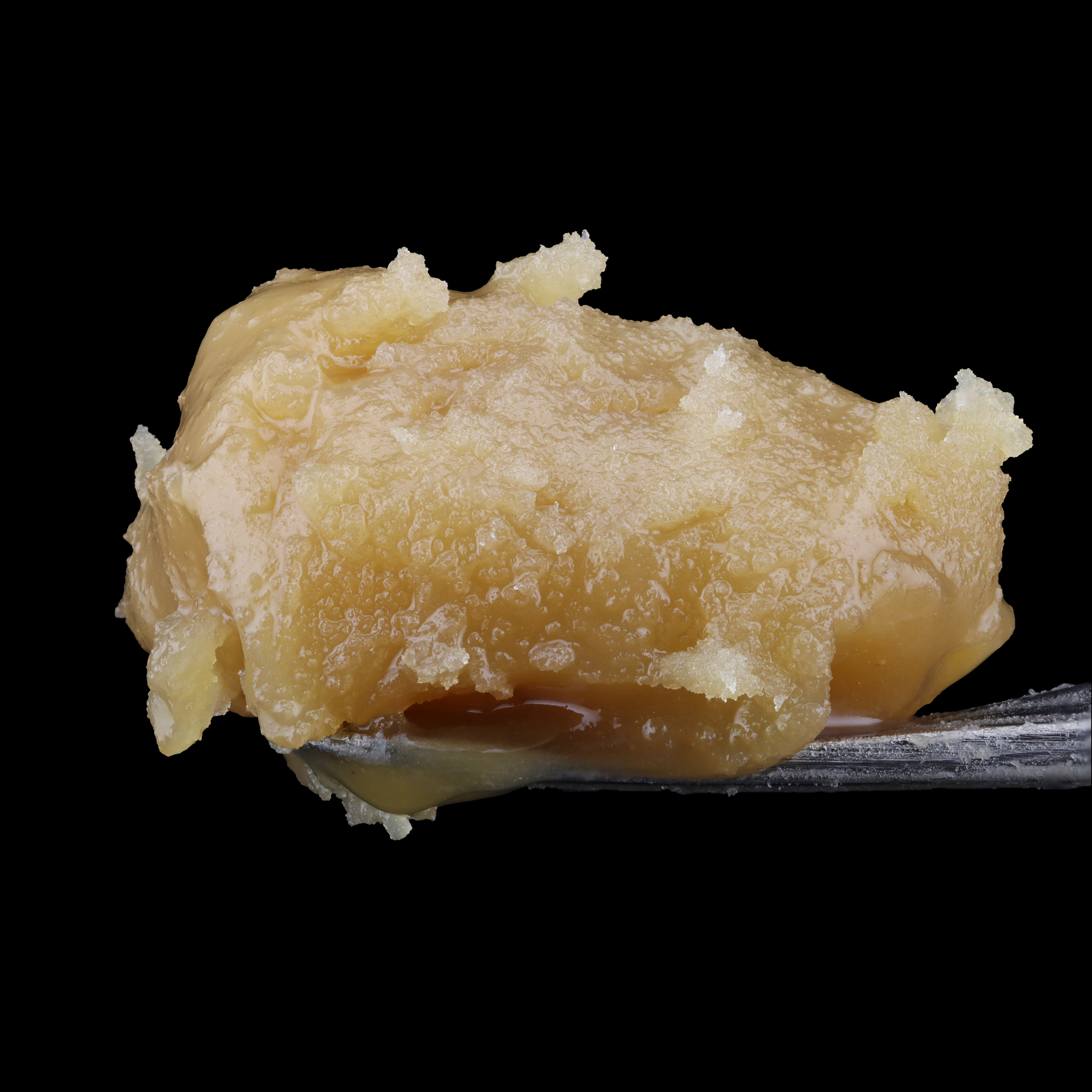 Papaya-Sunrise-live-rosin-by-Hai-dab-1