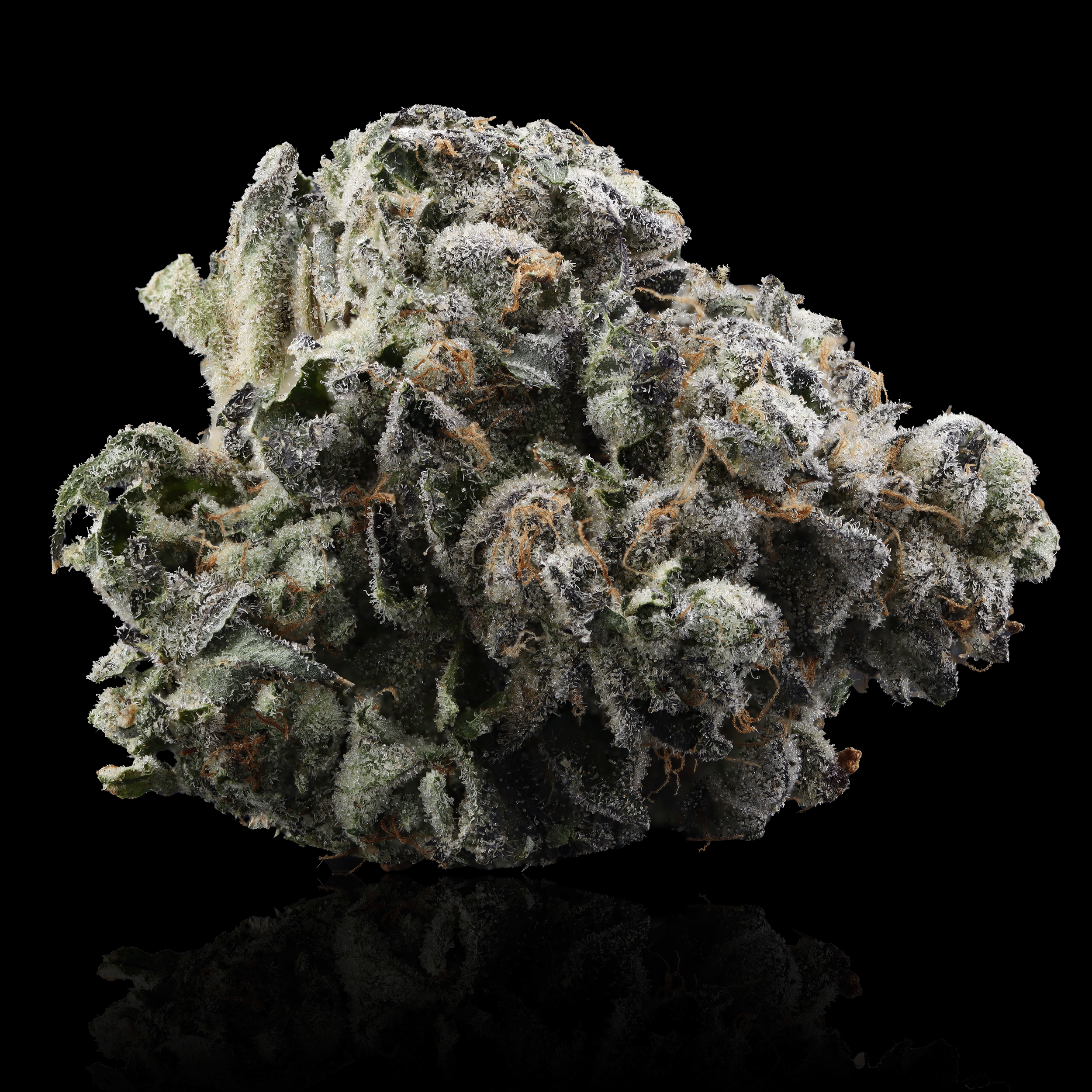 Cornerstone Cultivation Cannabis Buds