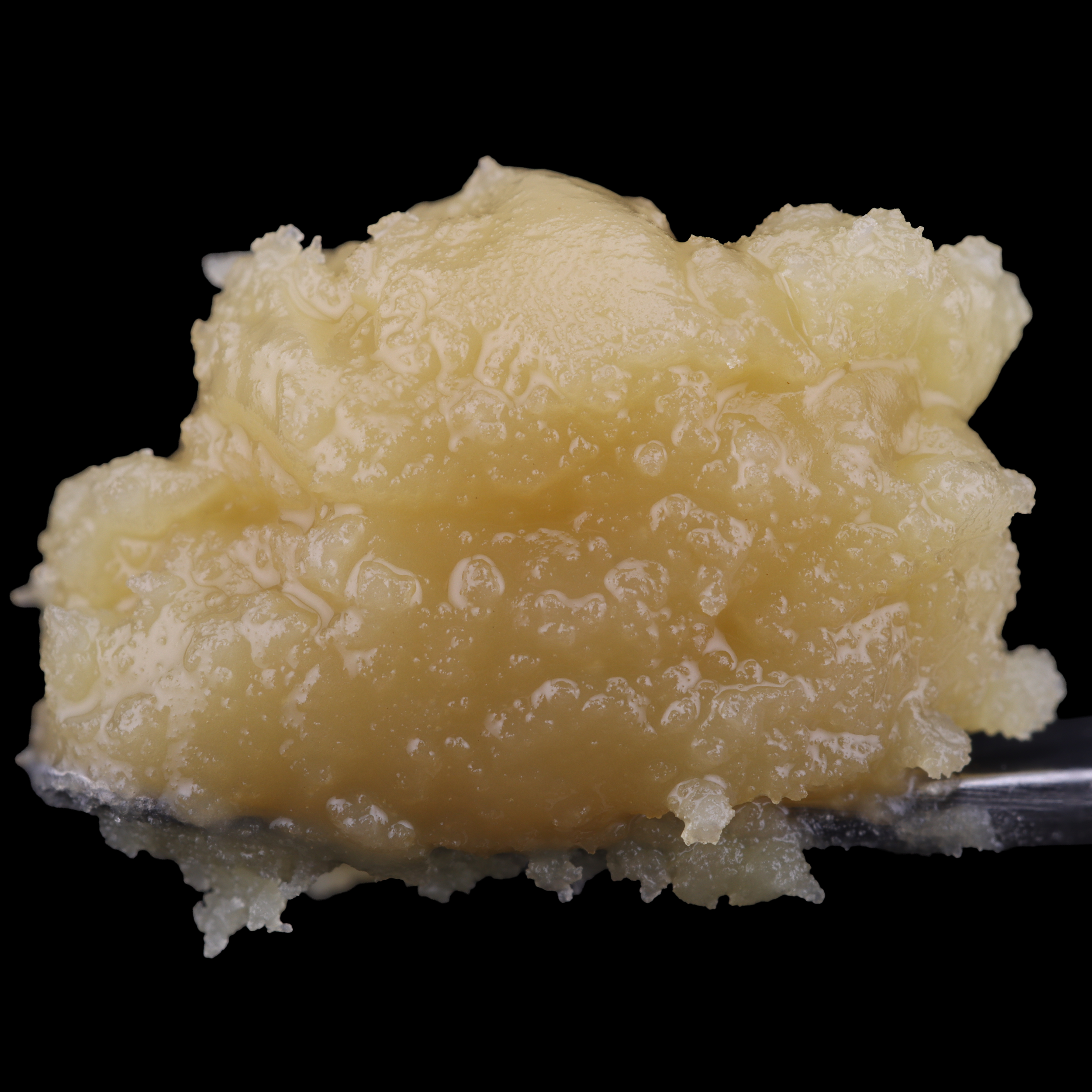 Frozen-Biscotti-Pie-live-rosin-strain-by-Umamii-dab