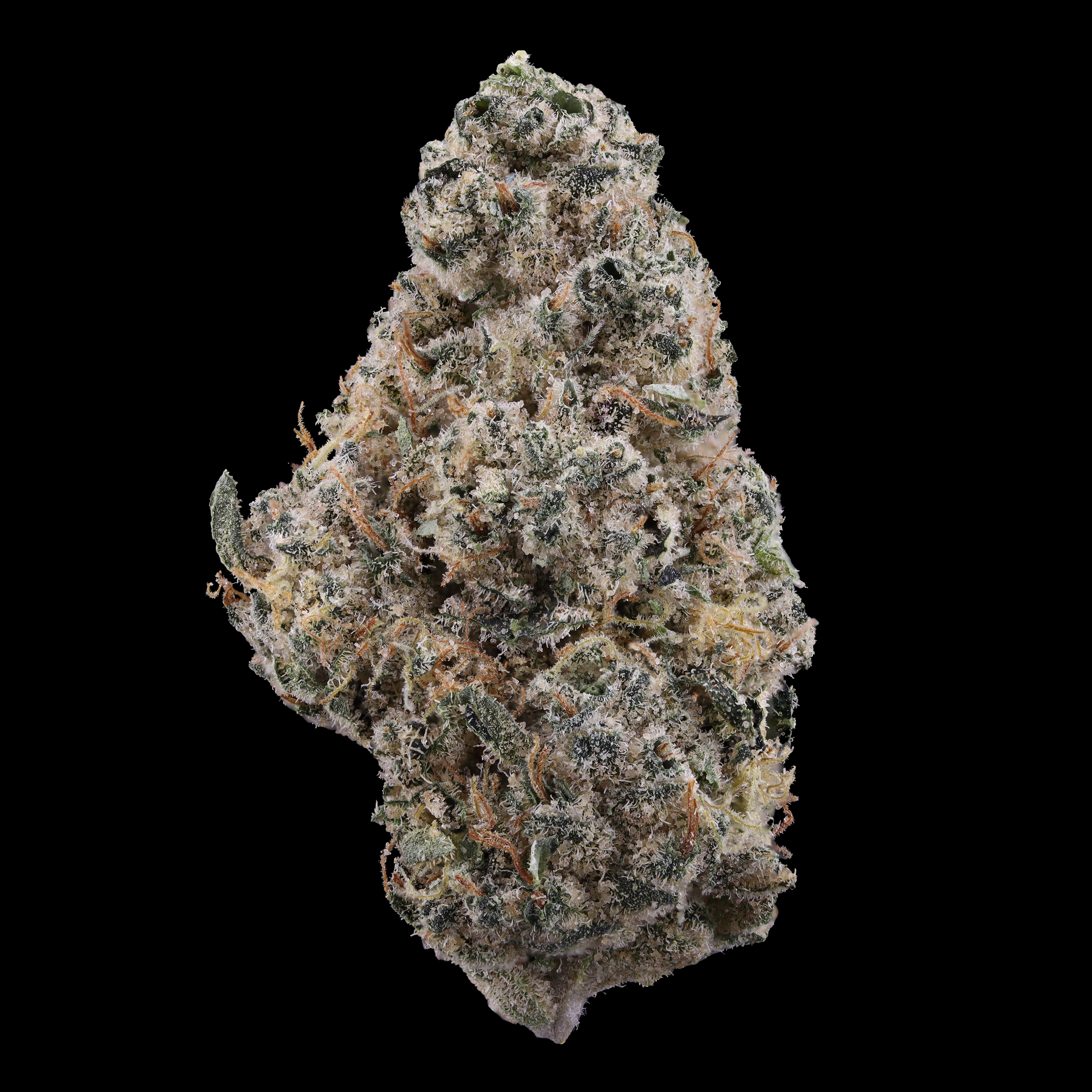 Chem-Rider-strain-by-kynd