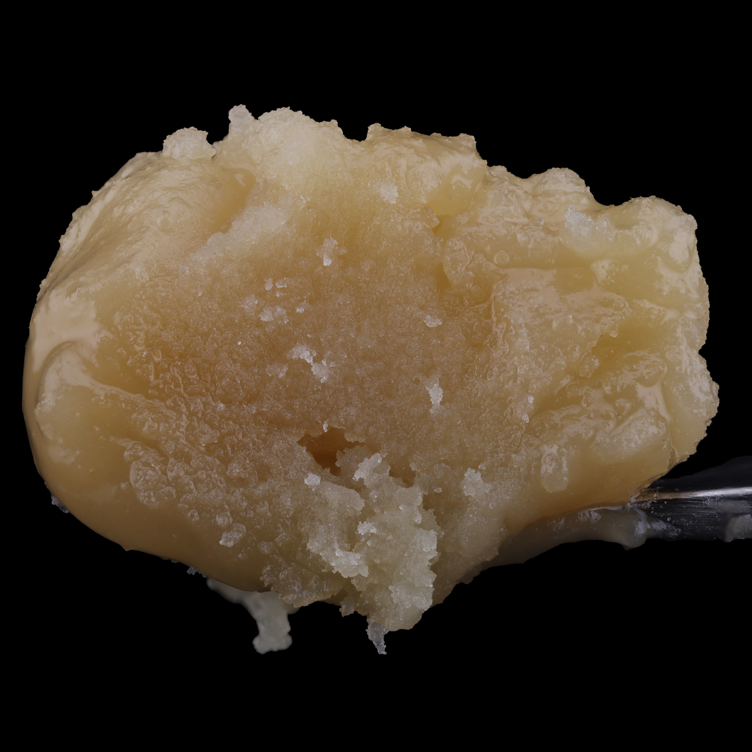 Jerseyboof-live-rosin-strain-by-The-Rosin-King-of-New-Jersey-dab-2
