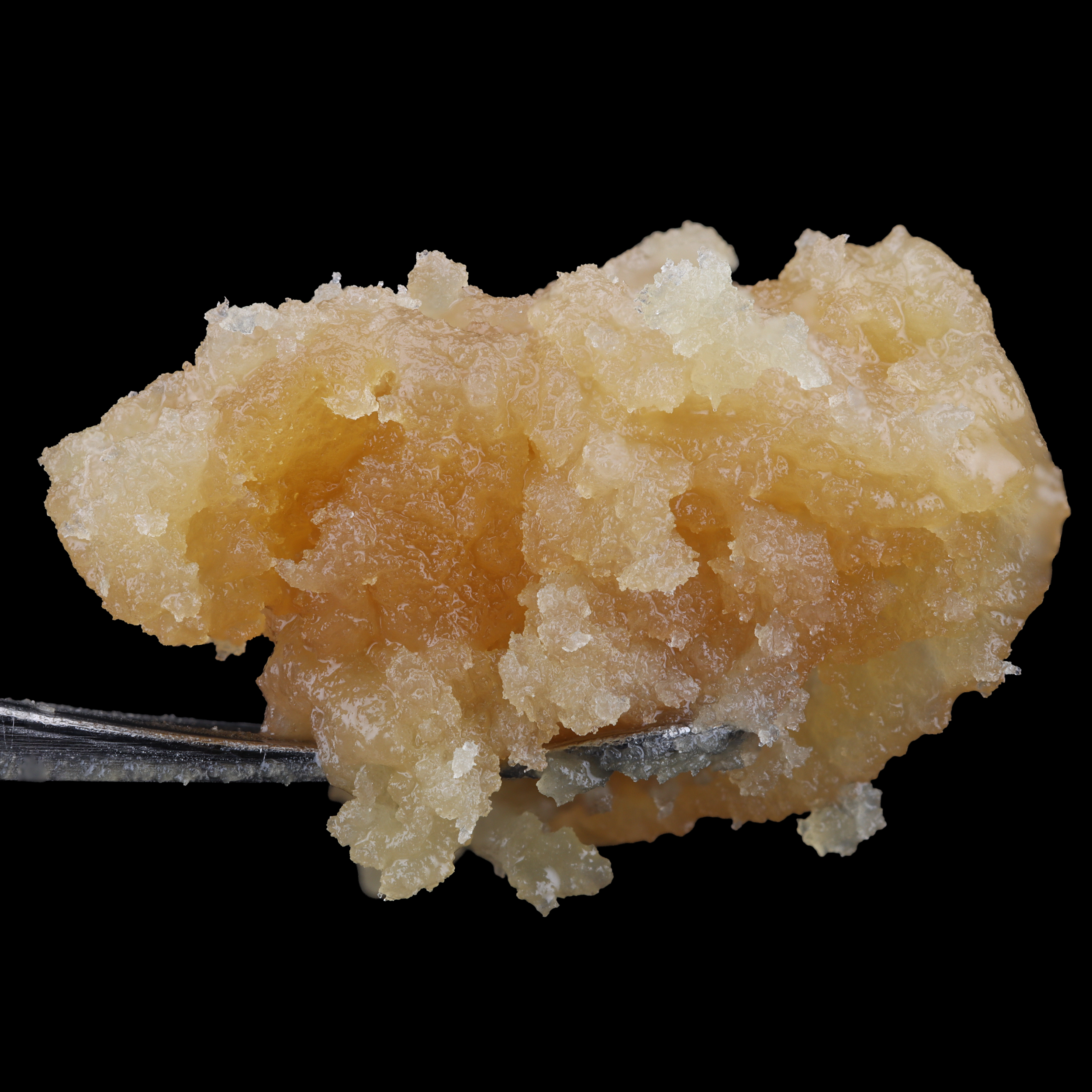 Strawberry-Guava-live-rosin-strain-by-Trout-&-Co-dab-1