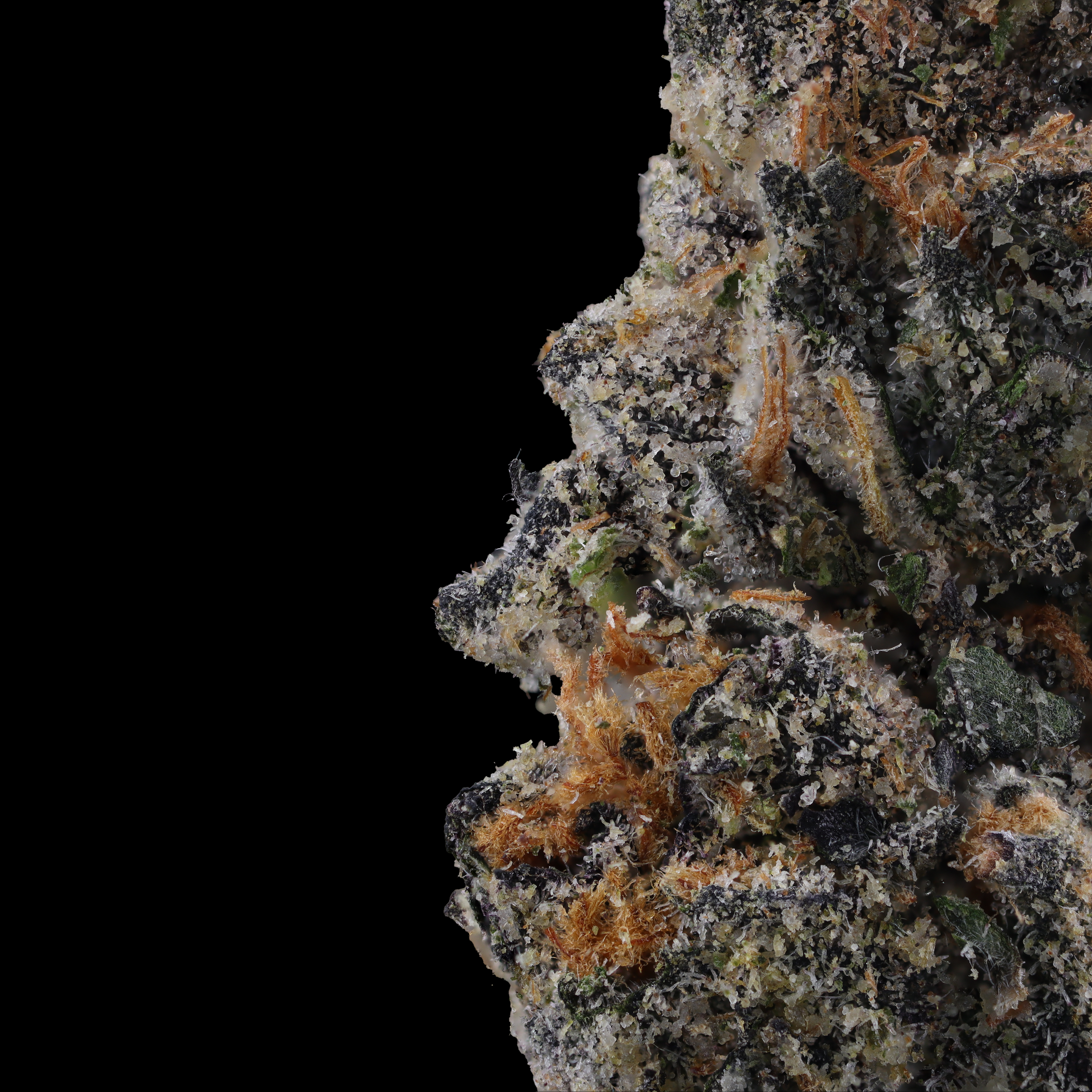 Apples and Bananas strain Macro photograph