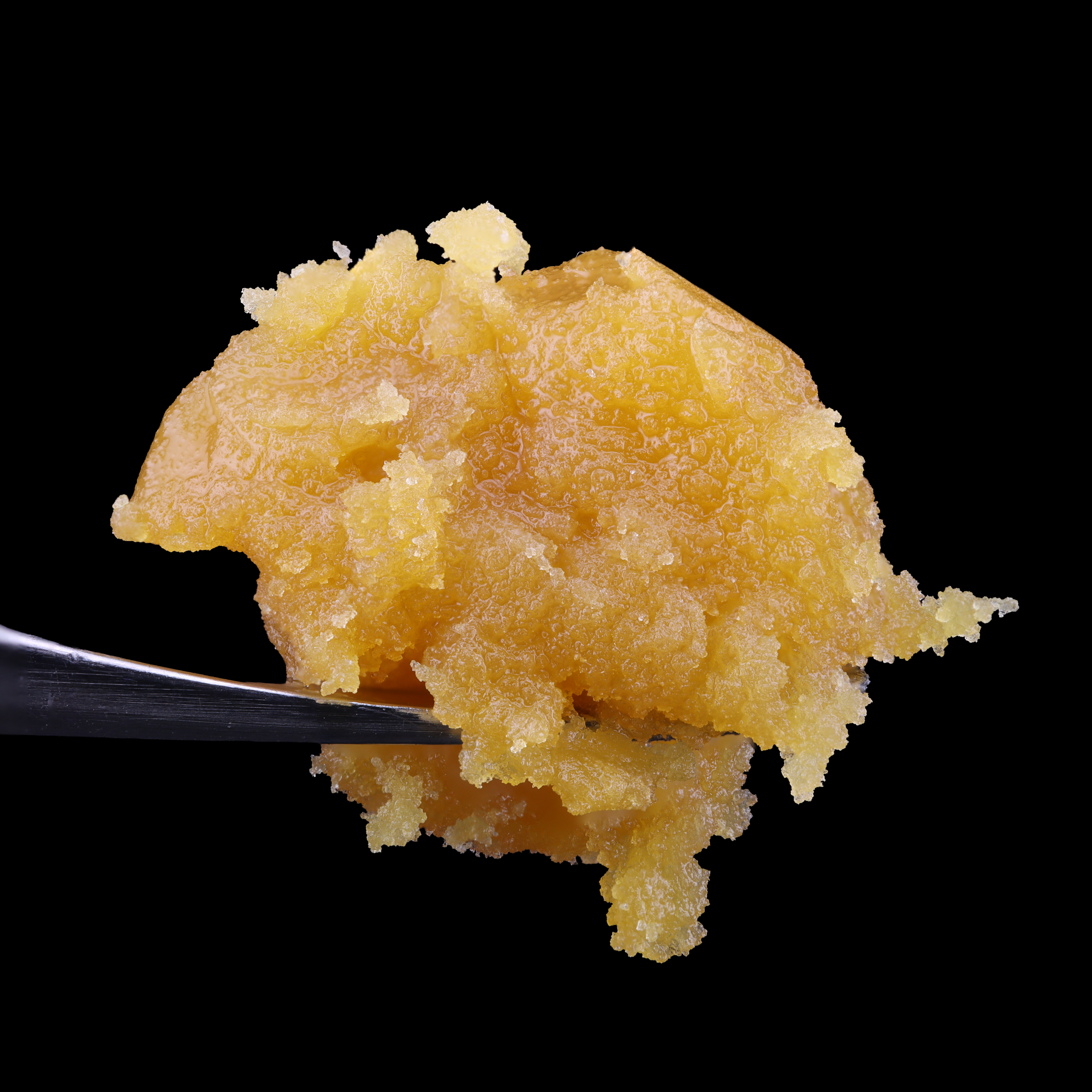 Super-Lemon-Haze-live-resin-strain-by-Jersey-Sauce-Boss-dab-1