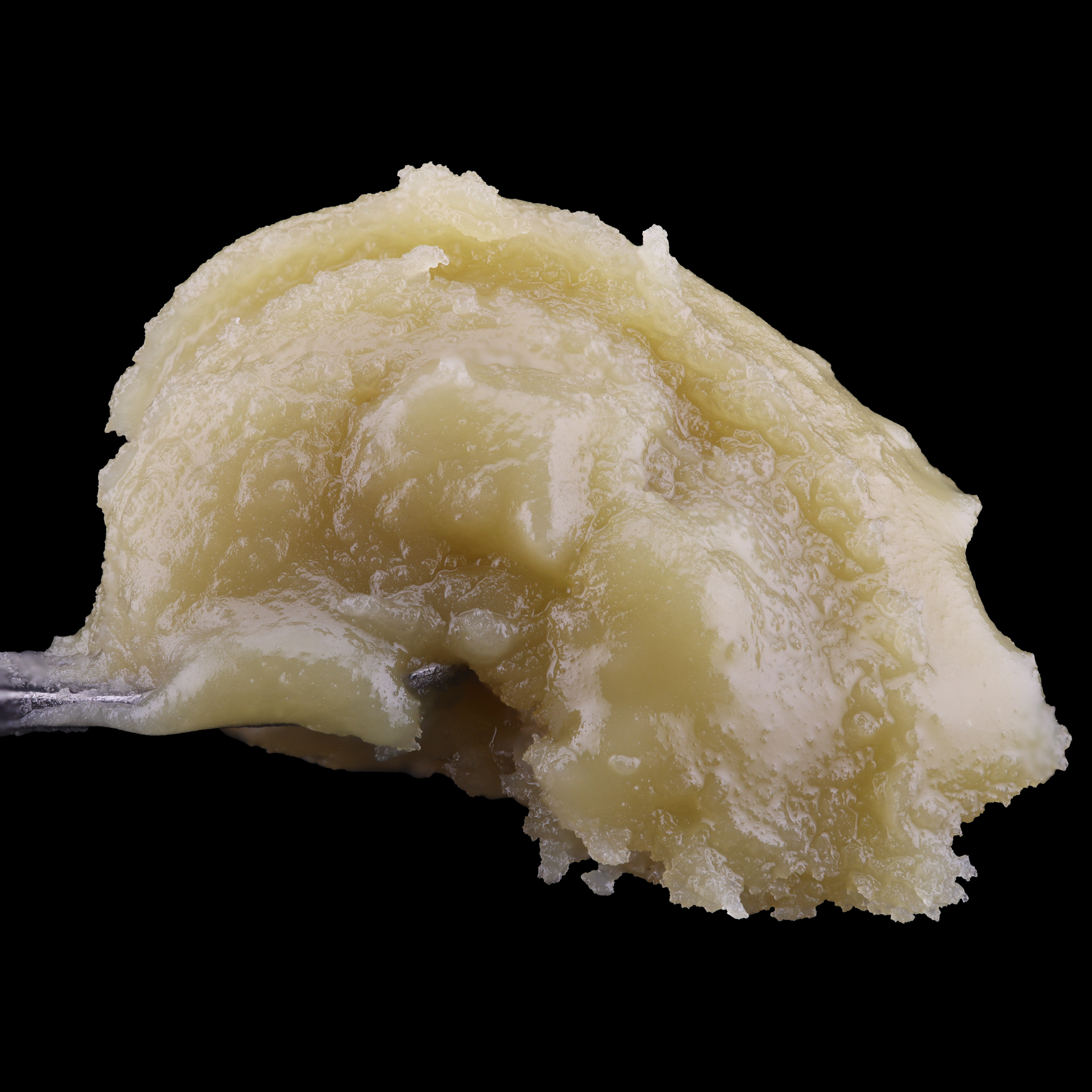 Sour-Garlic-live-rosin-strain-by-Rosslyn-dab-1