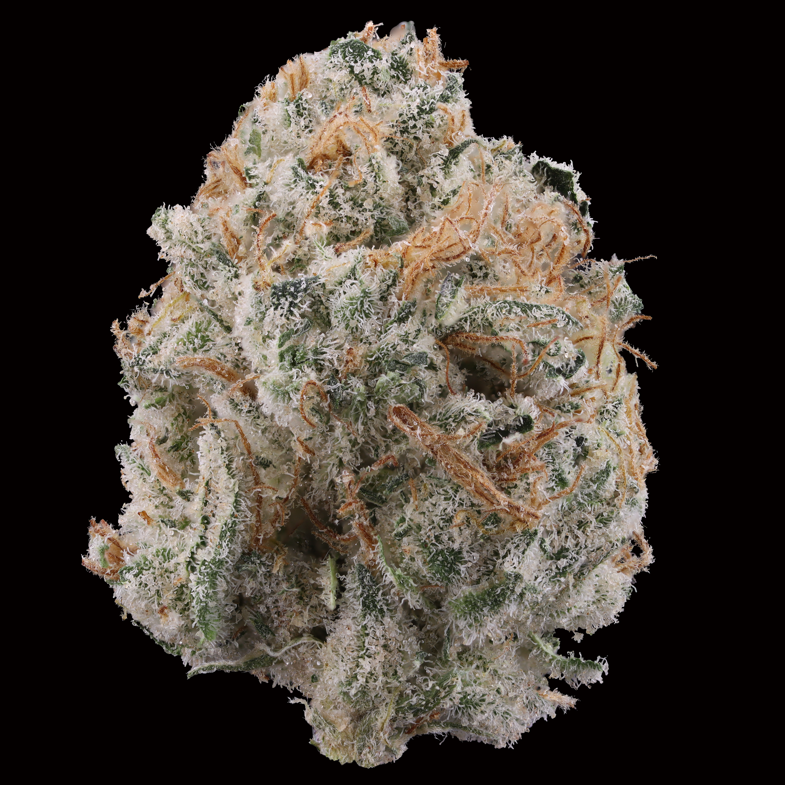 Grapefruit-gelato-strain-by-district-cannabis