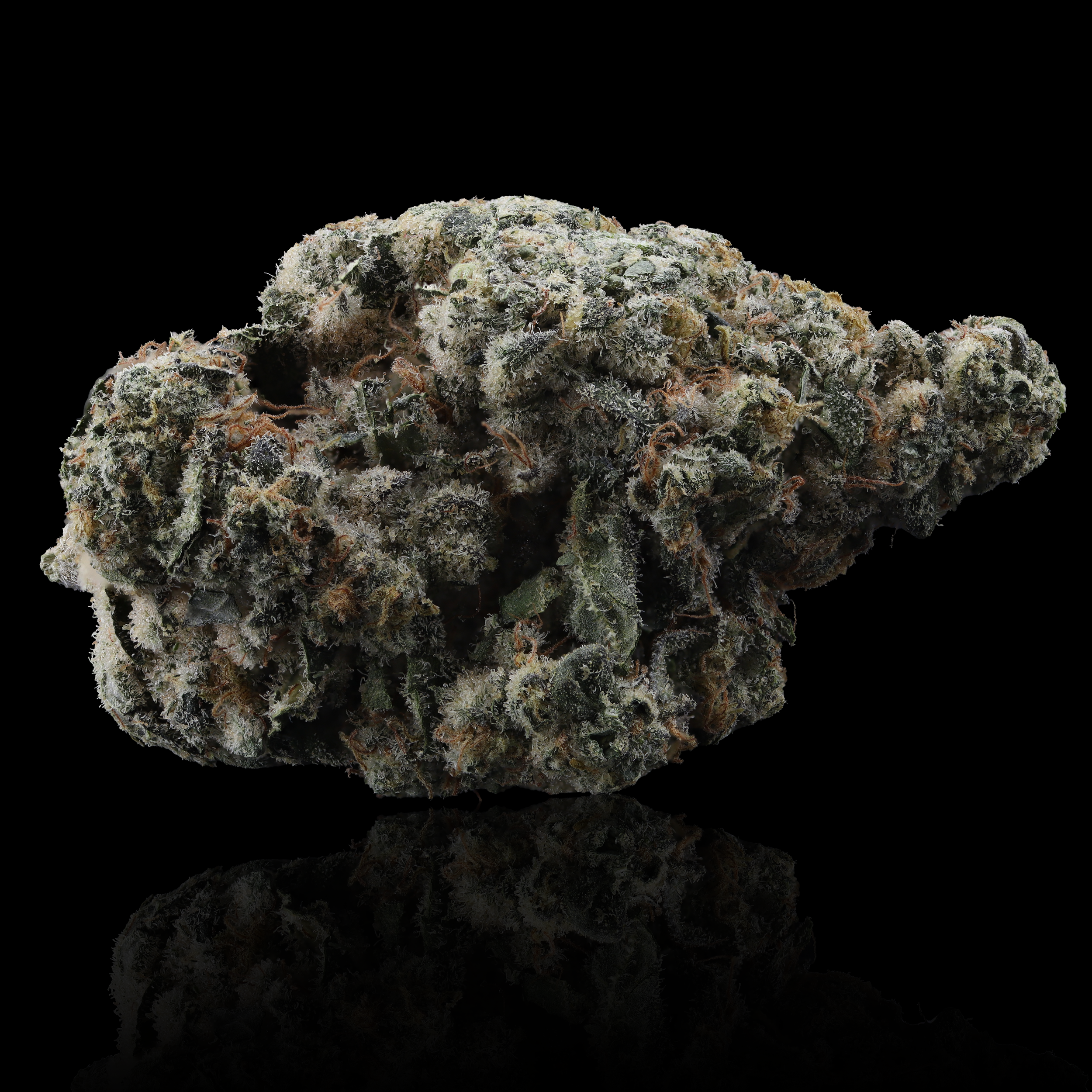 Peanut Butter Pie strain information by Kind Tree