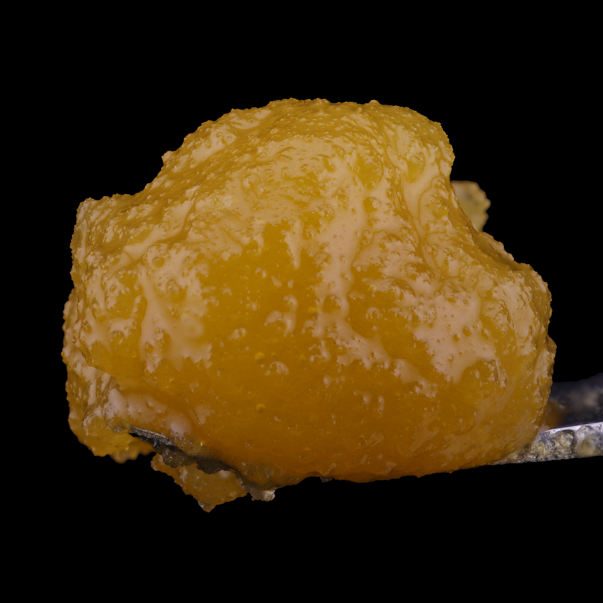 Blueberry-Crumb-Cake-Live-Resin-Sauce-by-Evermore-dab-2