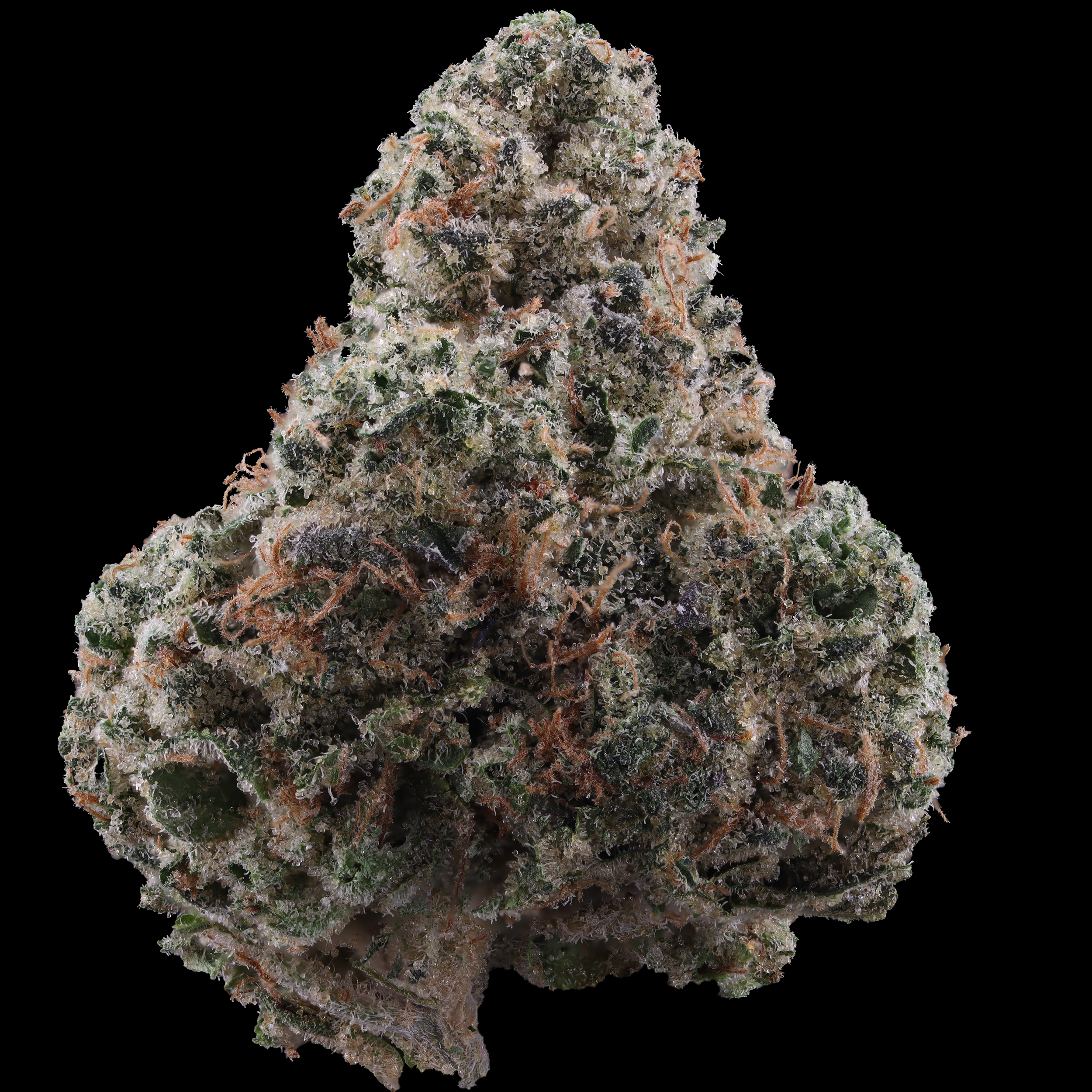 Rainbow Push Pop #4 cannabis picture review