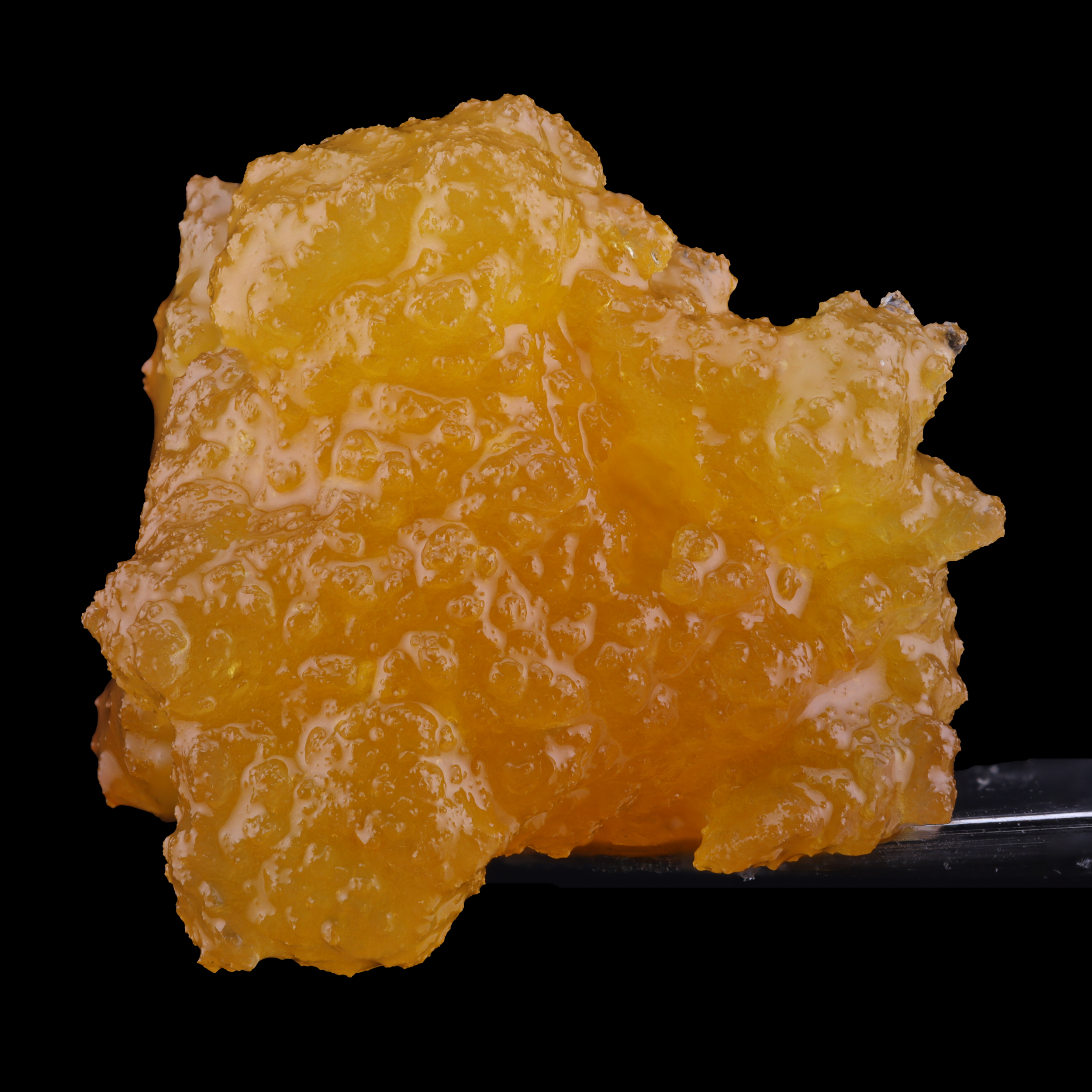 Cherry Circa 1995 x Grapple Noir live resin information by Kind Tree