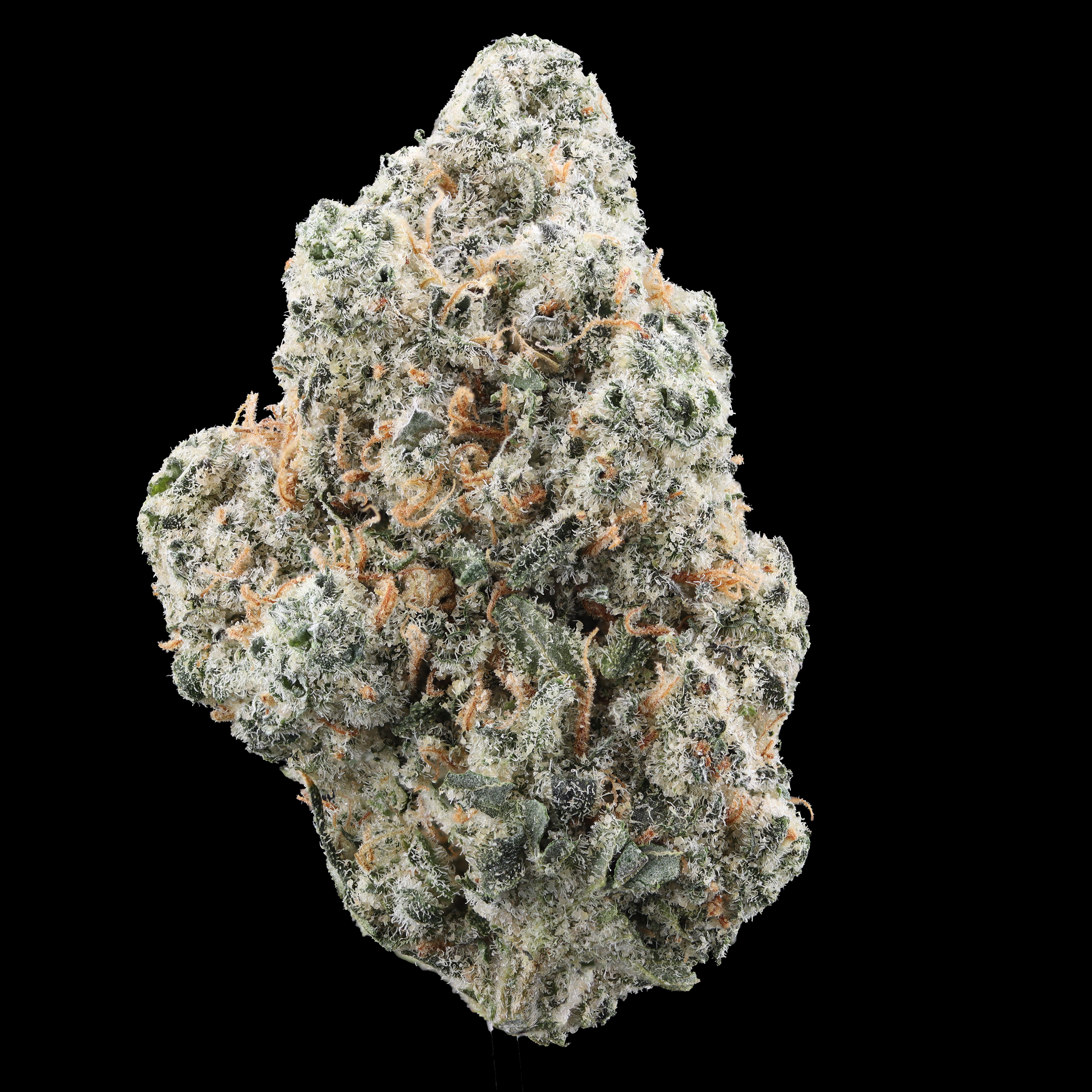 Cherry Pie High resolution cannabis picture