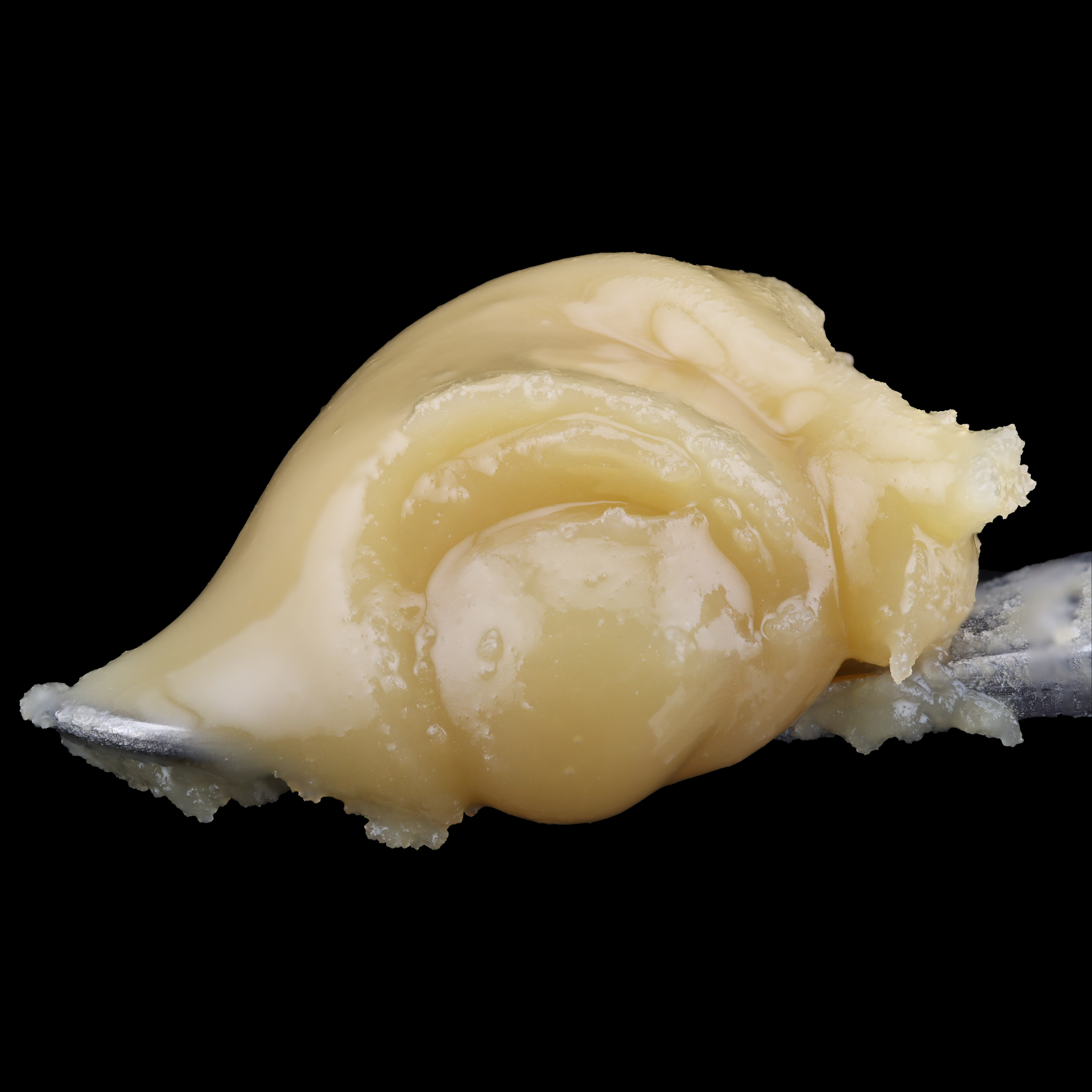 Blue-Bacio-live-rosin-strain-by-Umamii-dab-2