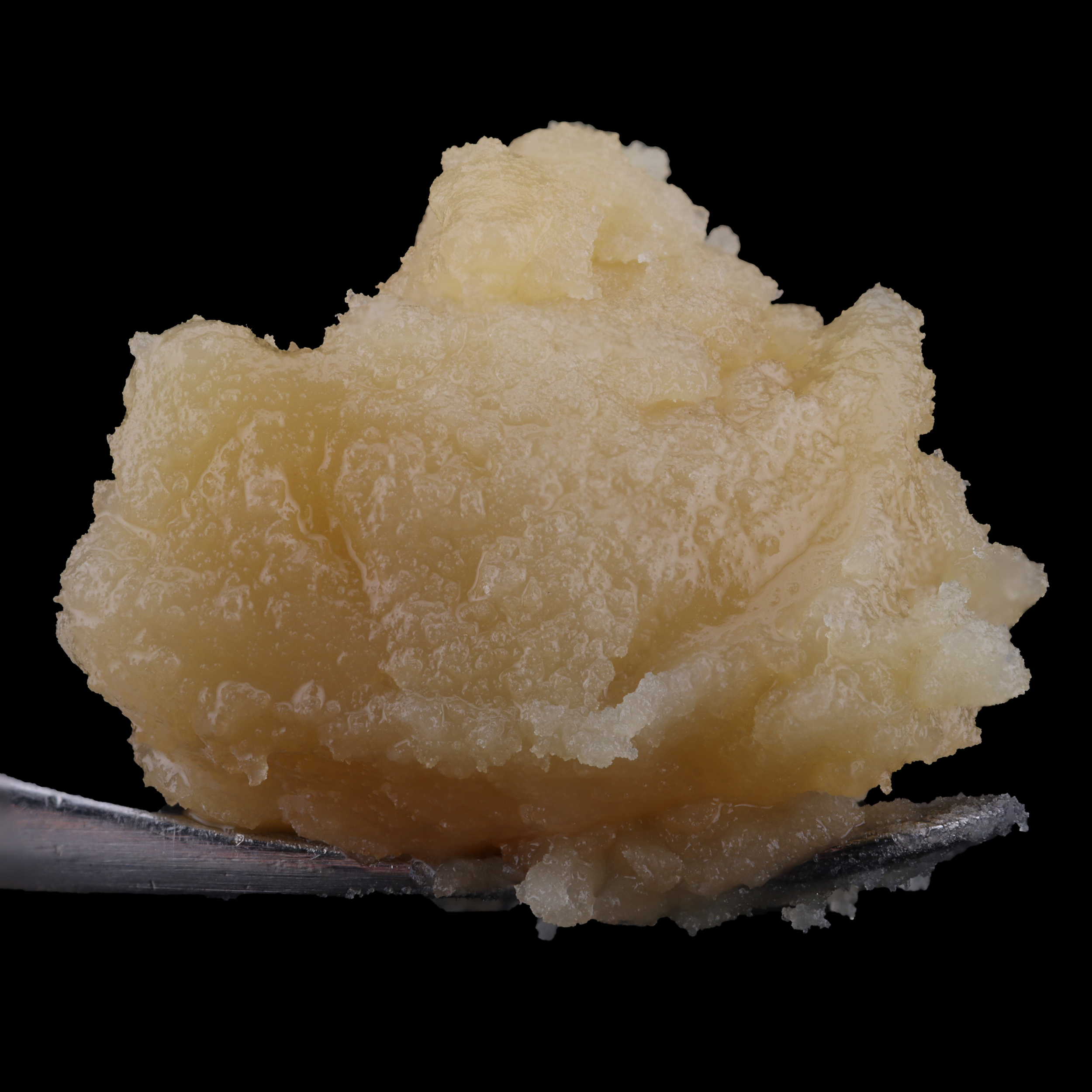 Jerseyboof-live-rosin-strain-by-The-Rosin-King-of-New-Jersey-dab-1