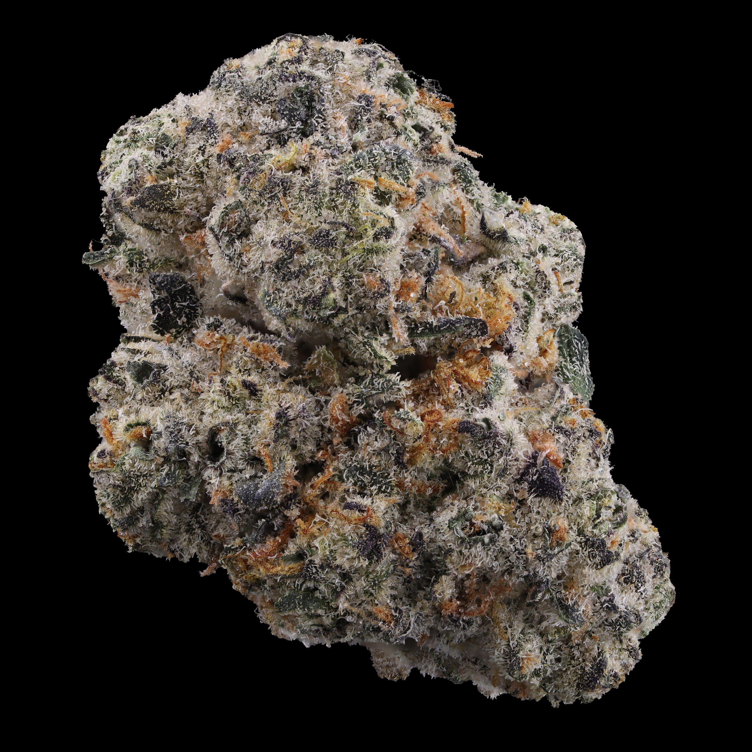 Garlic-Breath-strain-by-Grown-Rogue