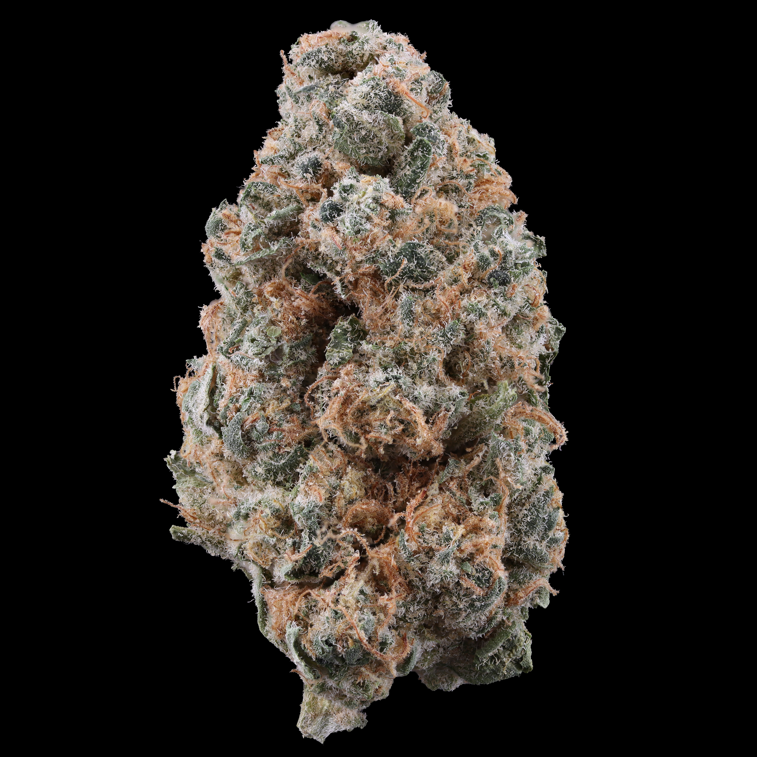 Jersey-boof-strain-by-Glass-Meadows