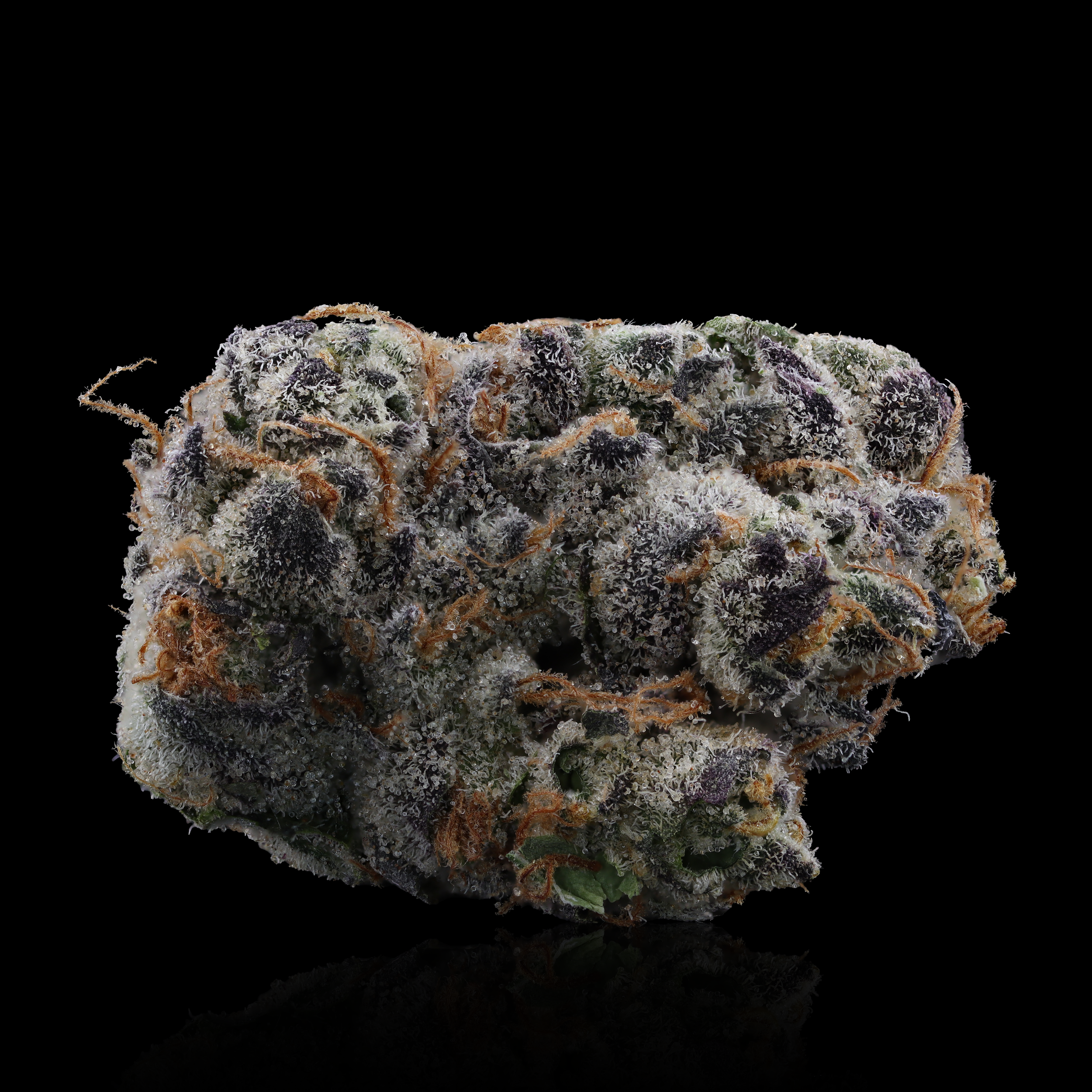 Wedding-cake-strain-by-goodies-reflection