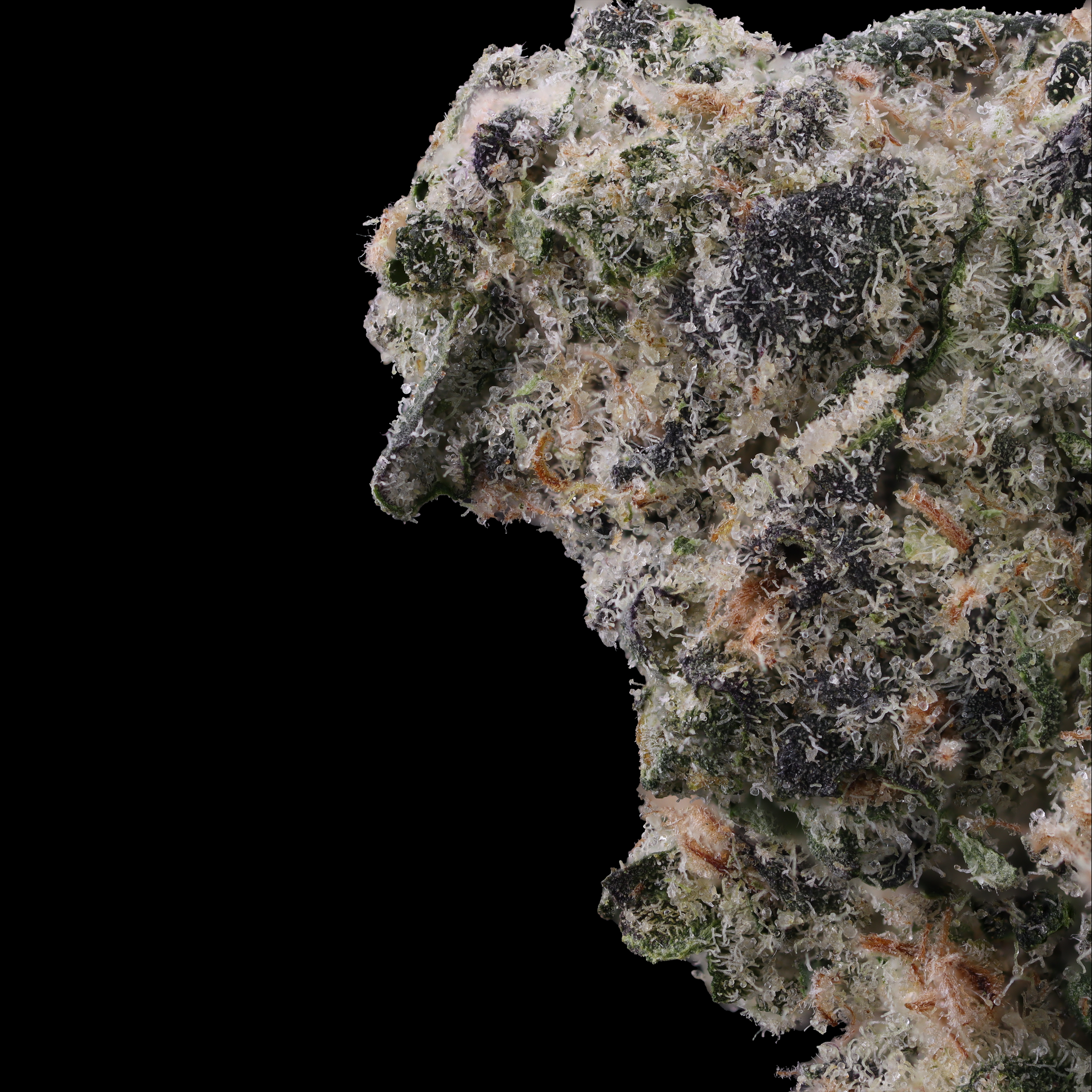 LA Kush Cake by Jungle Boys Macro