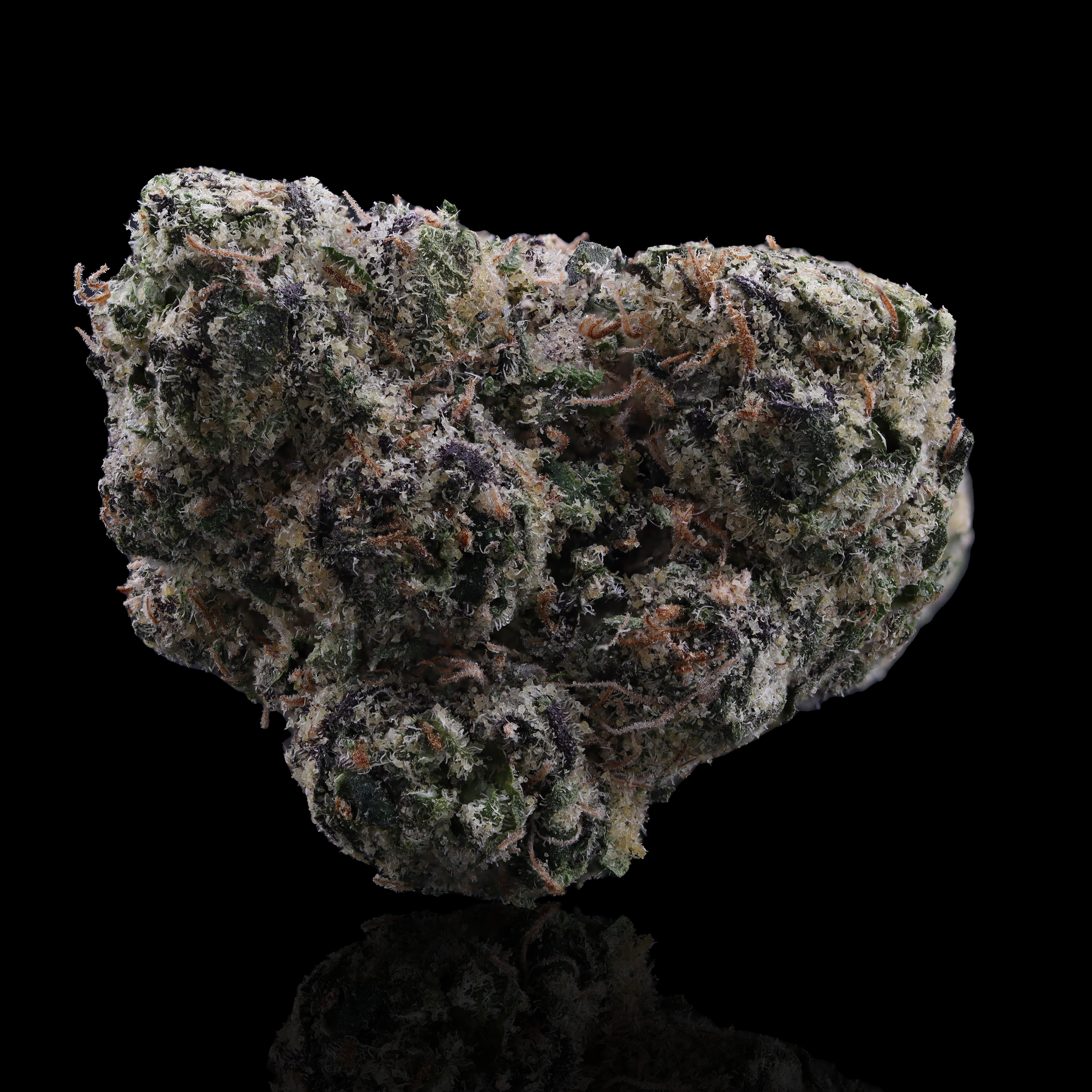 Obama Runtz Strain Information - NJ Dispensary Review - New Era ...