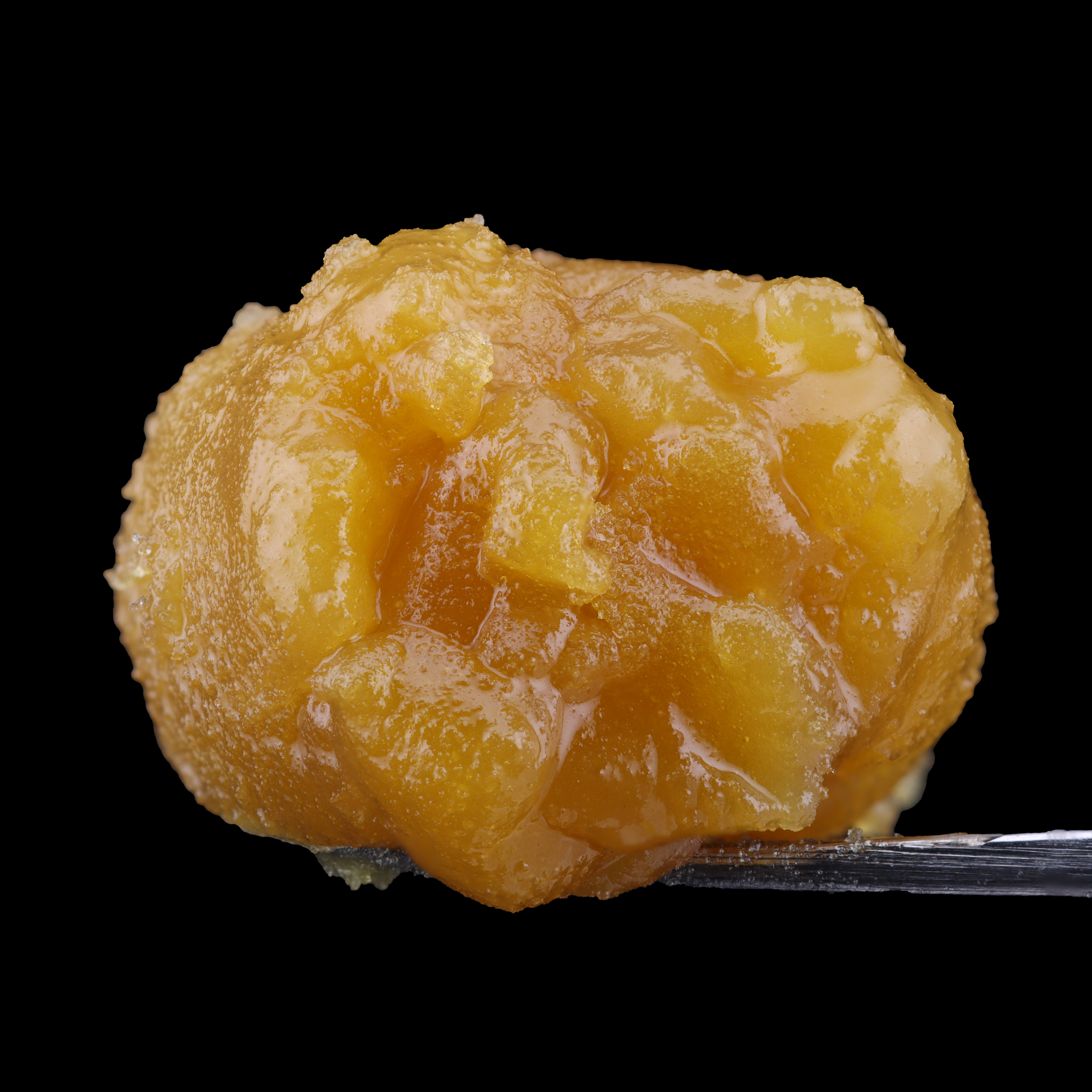Super-Lemon-Haze-live-resin-strain-by-Jersey-Sauce-Boss-dab-2