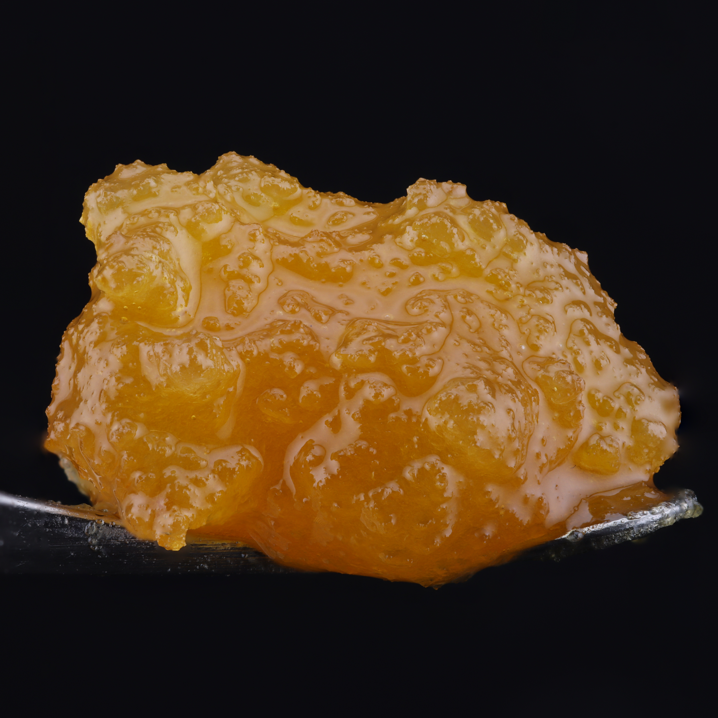 Cherry Circa x Grapple Noir live resin sugar by Kind Tree