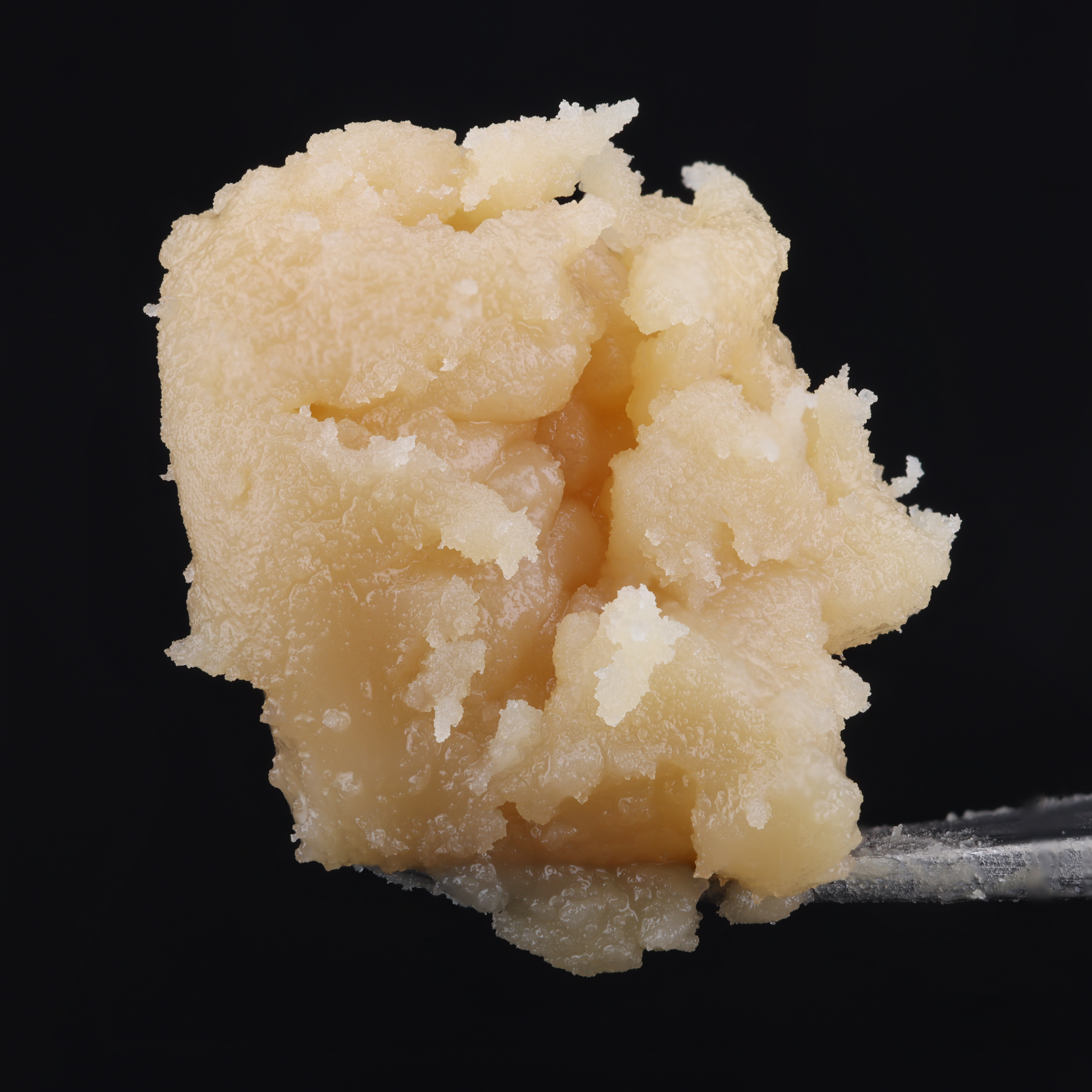 GMO-live-rosin-strain-by-Umamii-dab-1