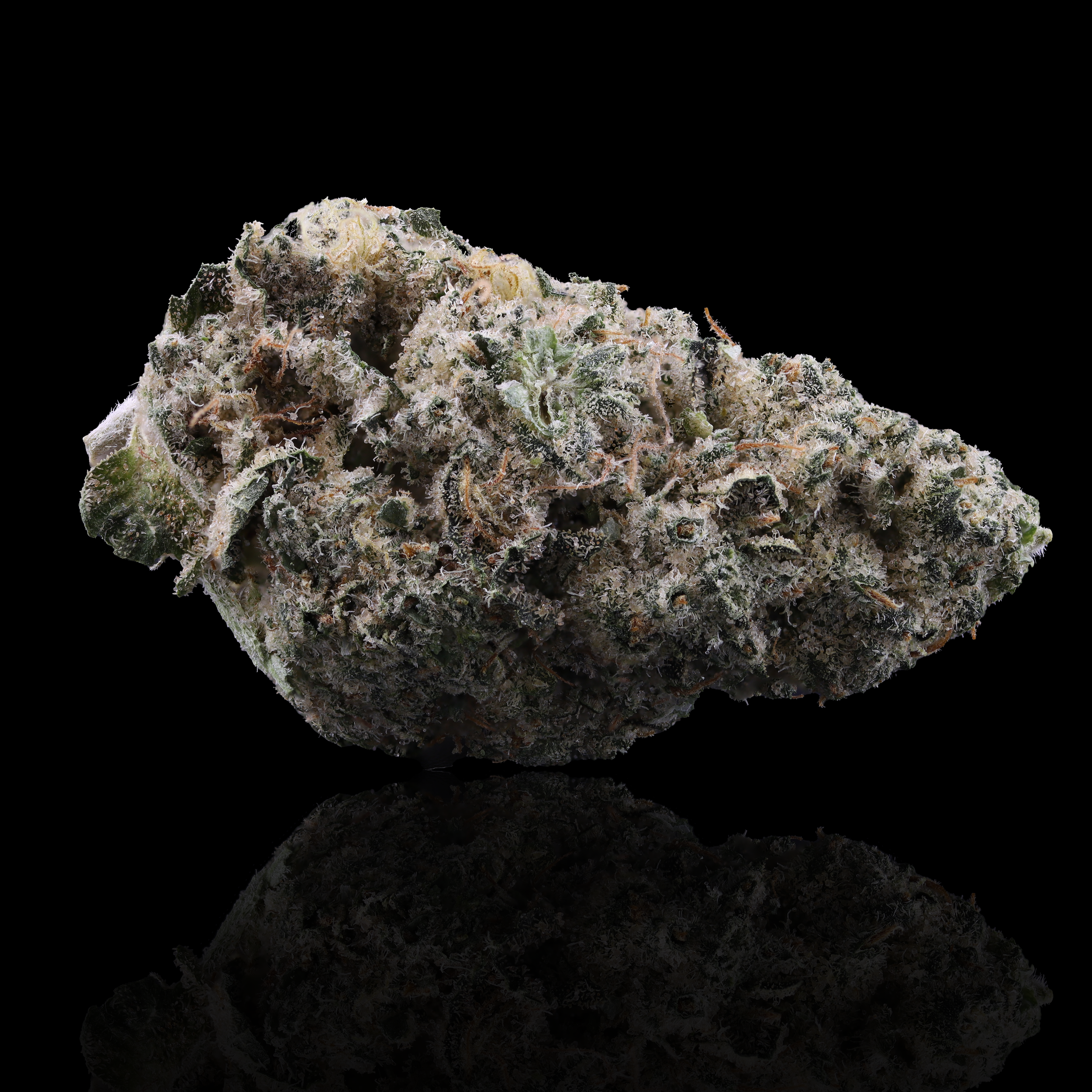 Chem-rider-strain-by-Kynd-reflection